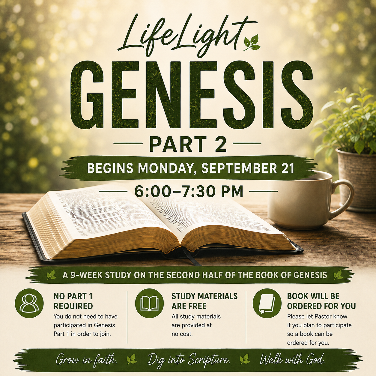 LifeLight Genesis - Part 2