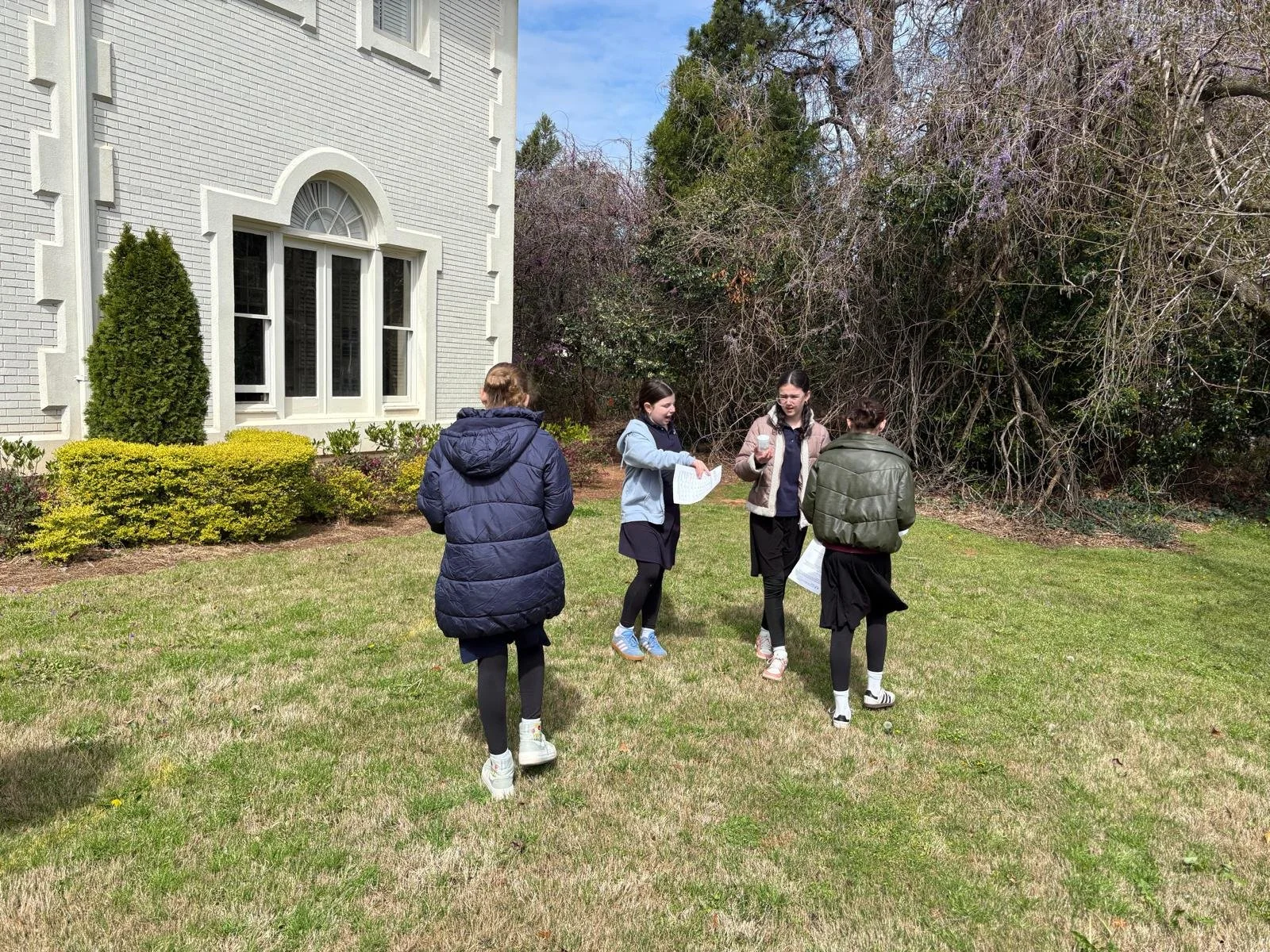 bc1.jpeg