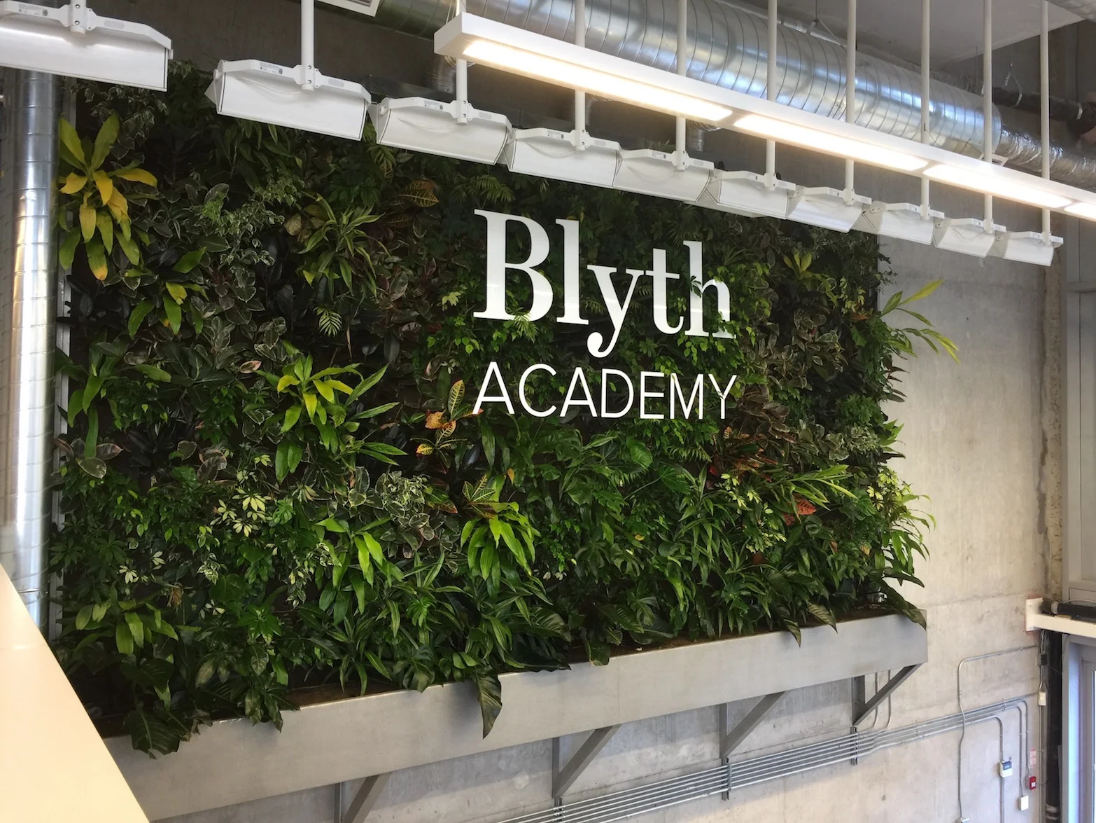   NEW HEAD OFFICE DESIGN &amp; CONSTRUCTION – Toronto, ON  Service:  Project Management  Client: Blyth Education Size: 9,065 sq ft 