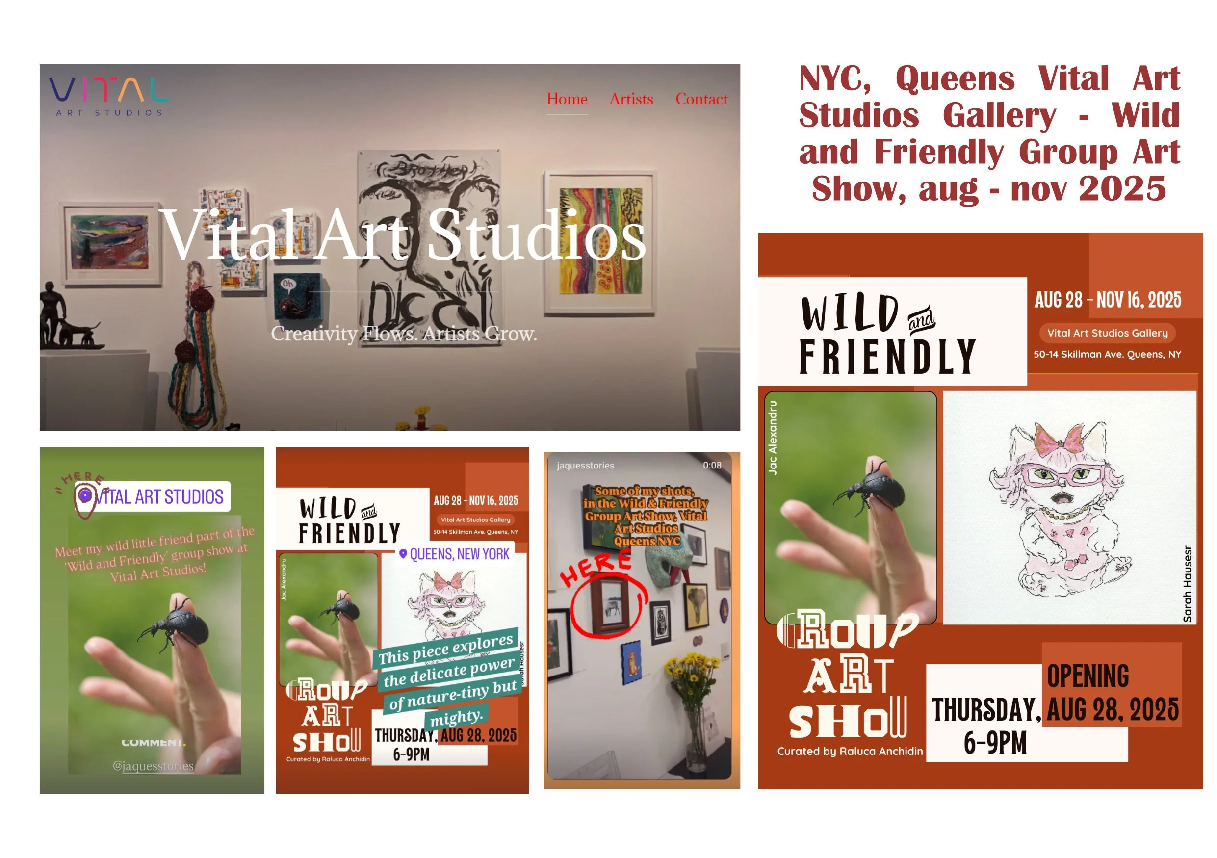 website banner jaquestories.jpg