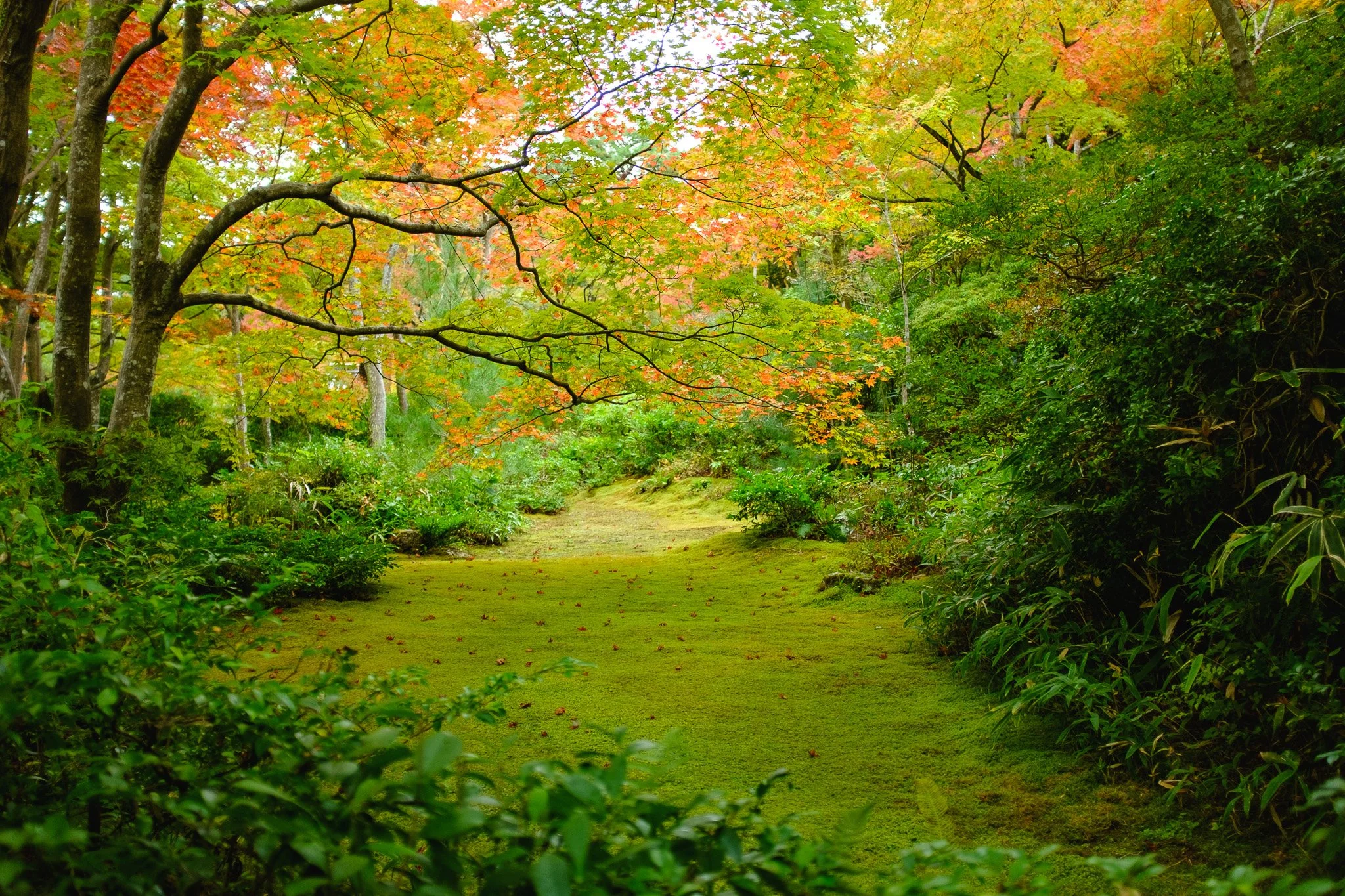 DSCF6574.jpg