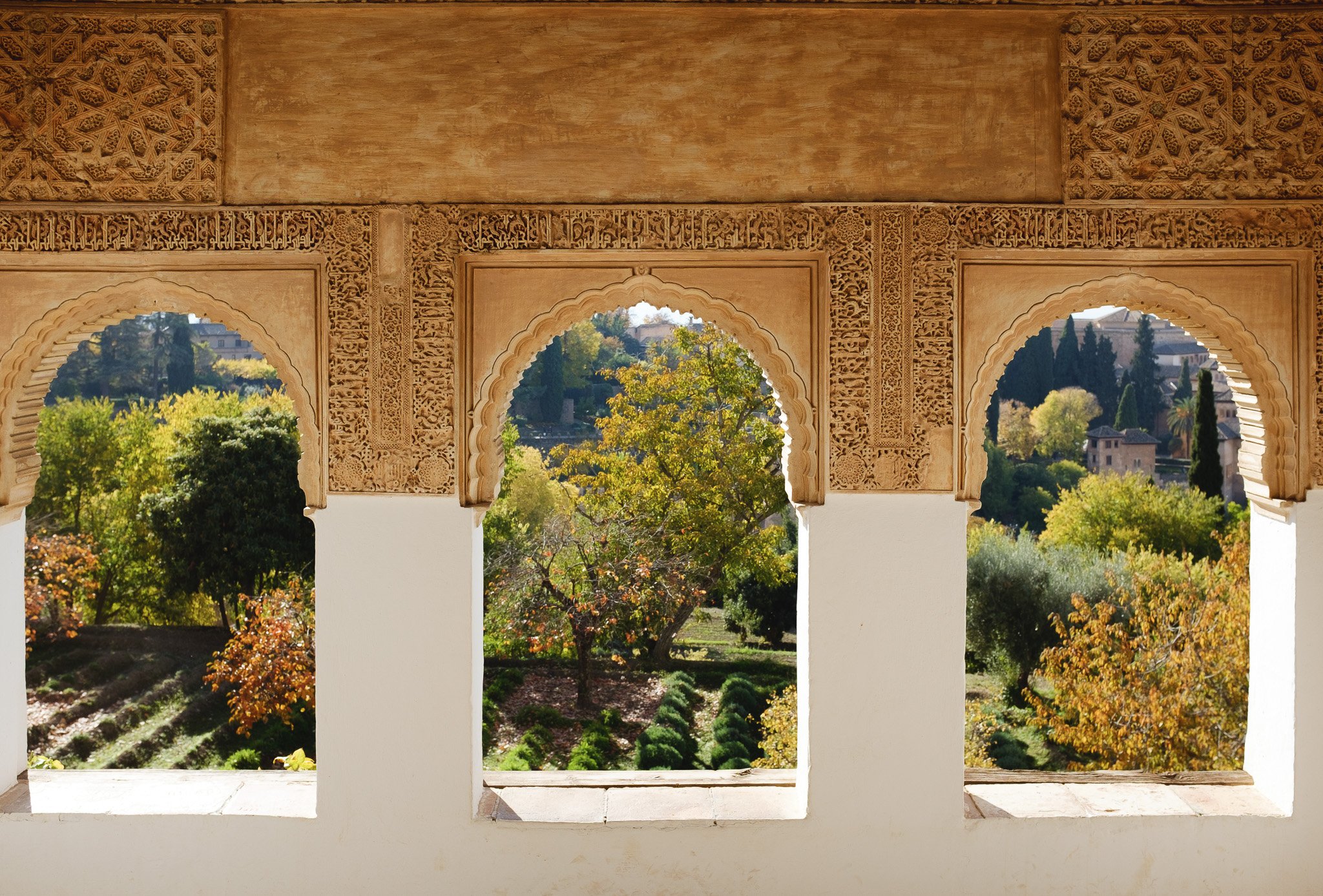 DSCF5950.jpg
