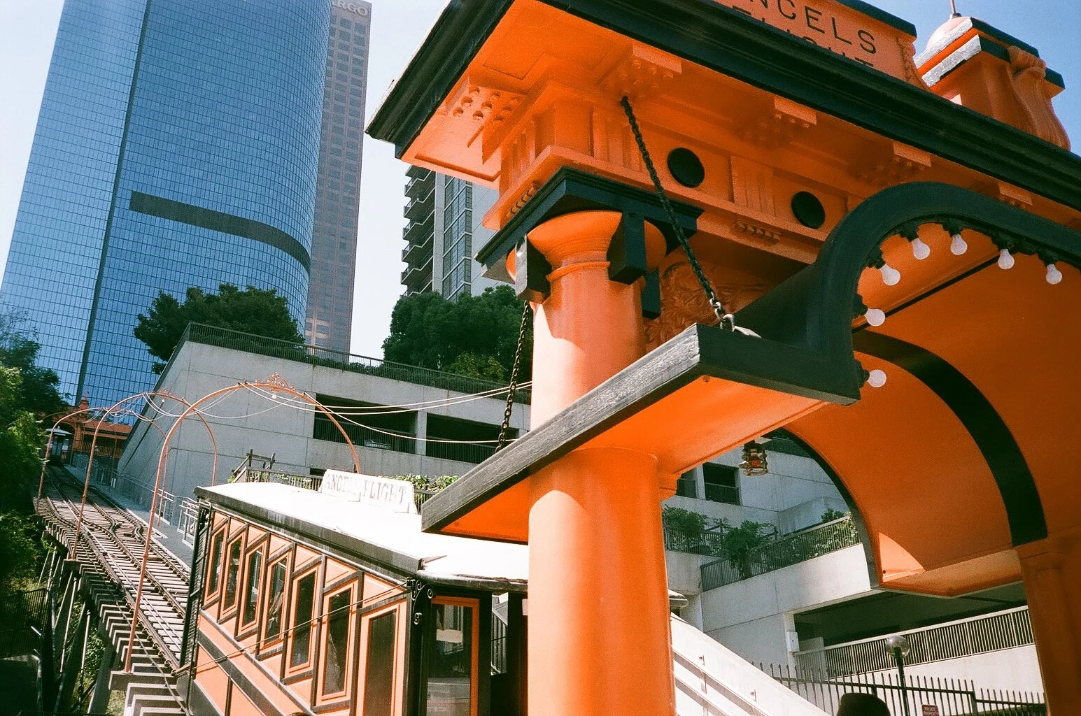 11630028.jpg