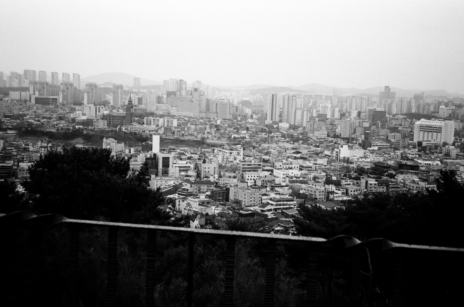 14030004.jpg