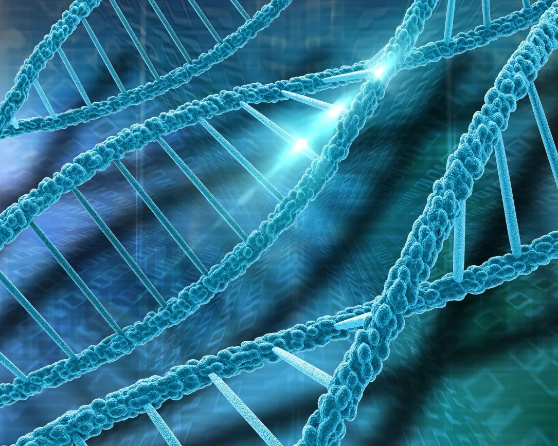dna genetic variation