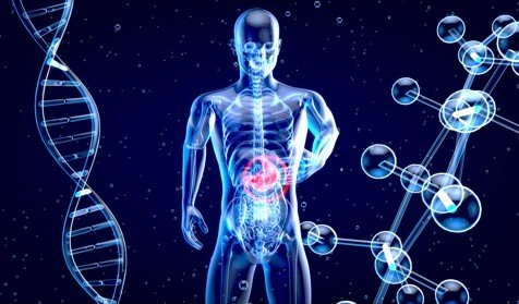 Your DNA’s Connection to Gut Health