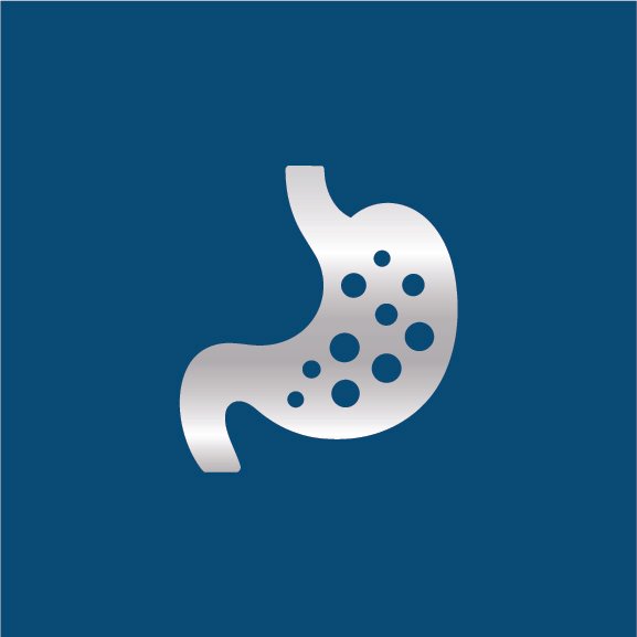 Icon for Gut Health