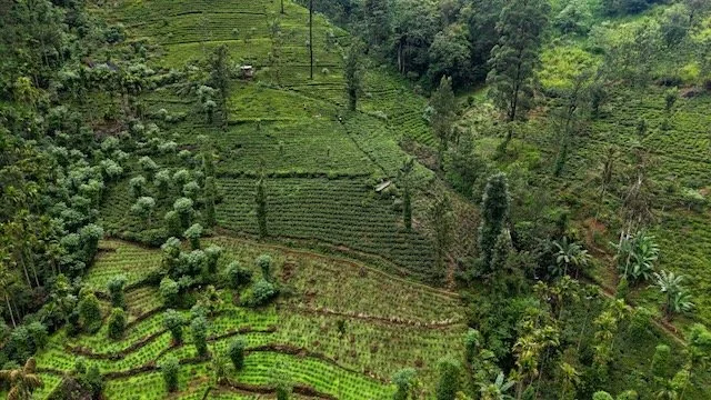 dji_fly_20250817_134158_0312_1755423216465_photo.jpeg