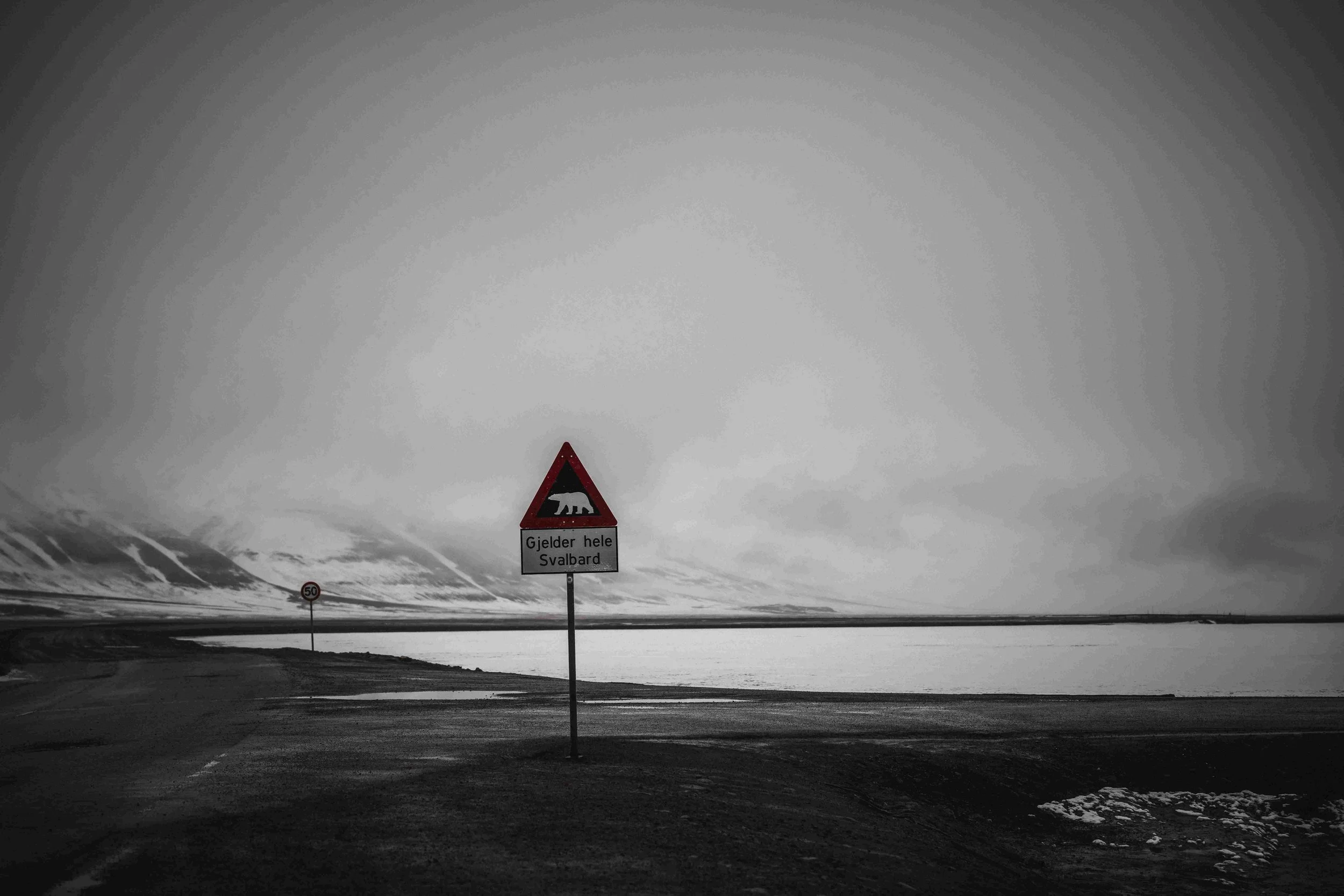 Polar-Bear-Warning-Sign_2026-06-04_01.jpg