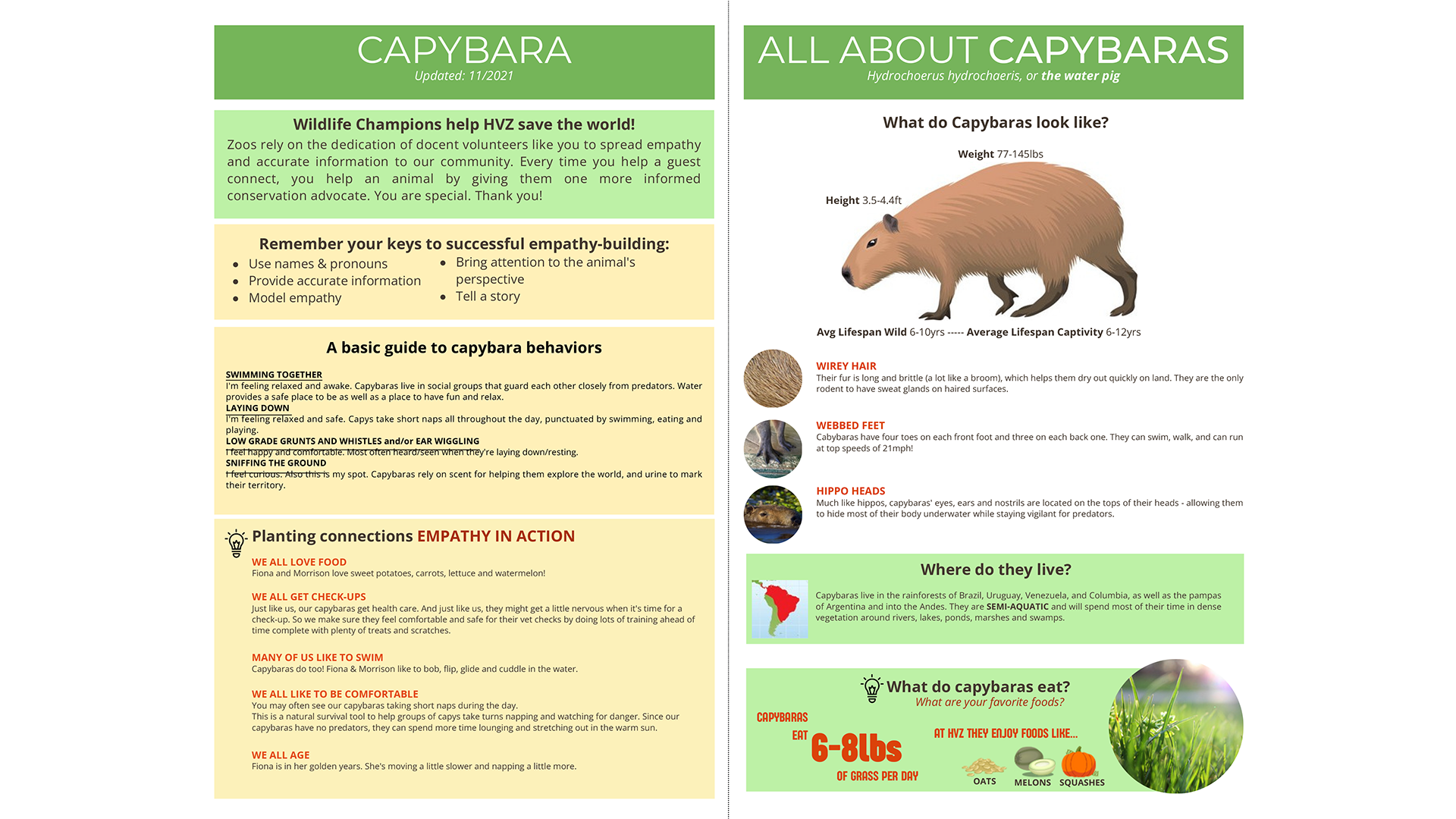 Capybara Fact Sheet.png