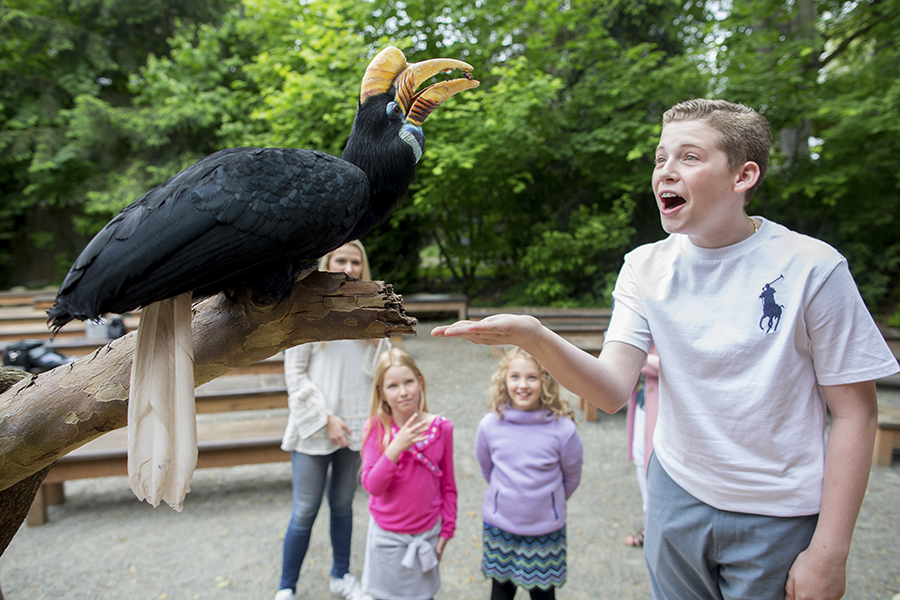 A group of smiling children interact with a toucan on a perch.