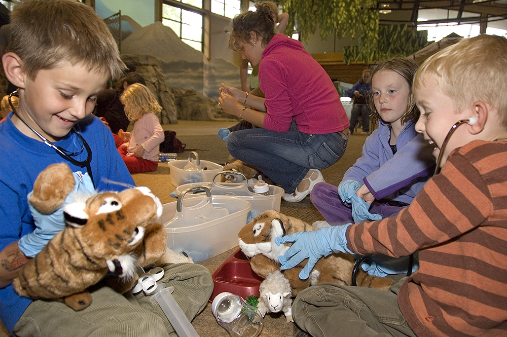 A group of children practice veterinary care using stethoscopes on stuffed toy tigers.