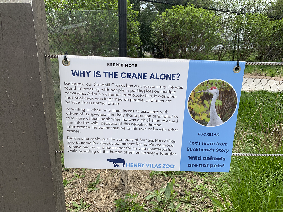 A hanging zoo sign tells the story of Buckbeak the crane.