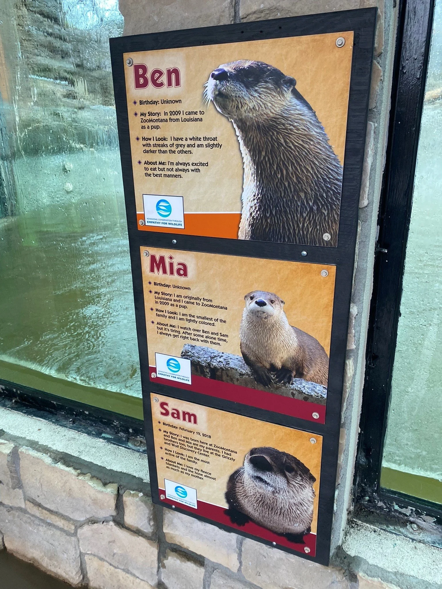A sign tells the story of Ben the otter.