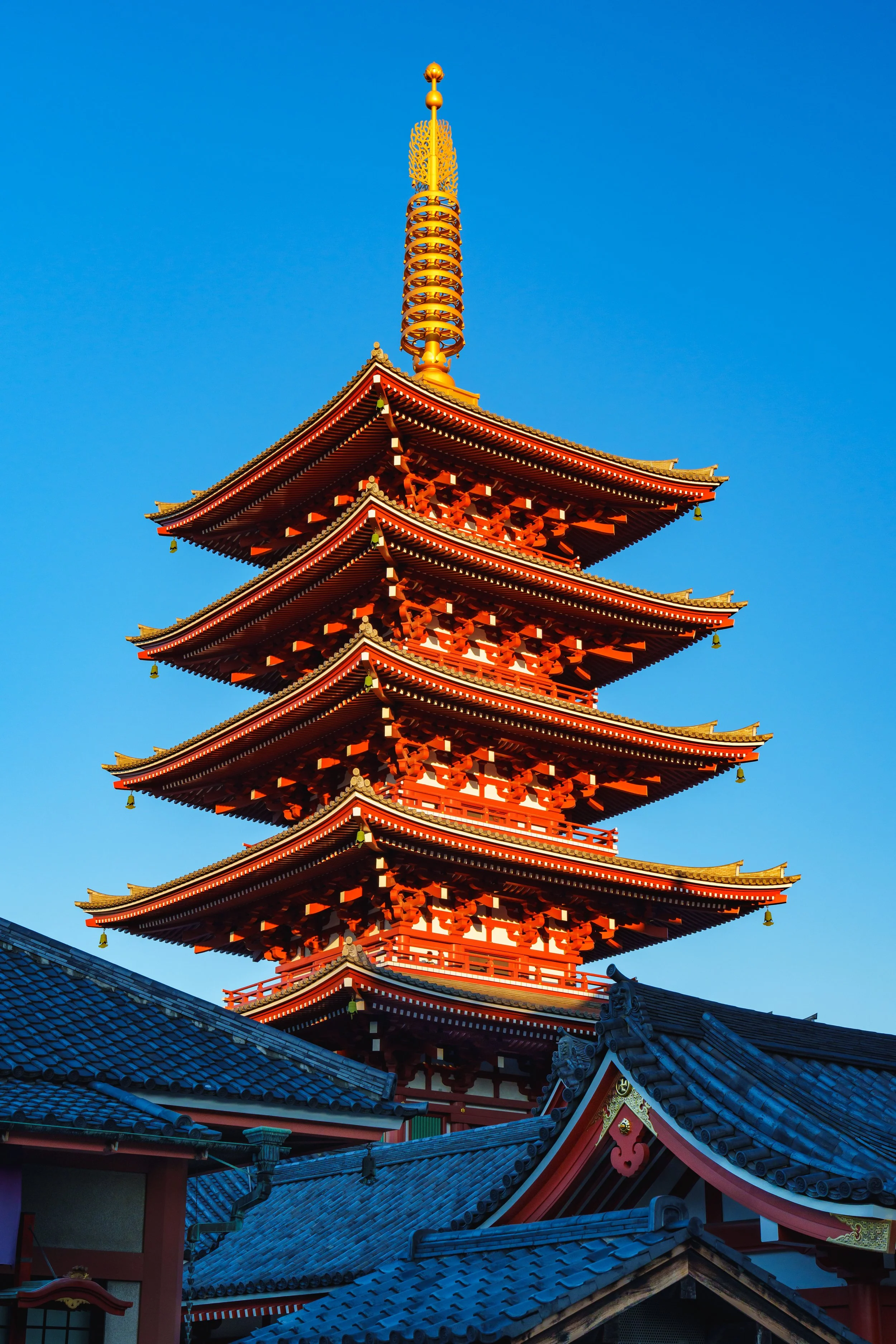 Japan Contract Seminar