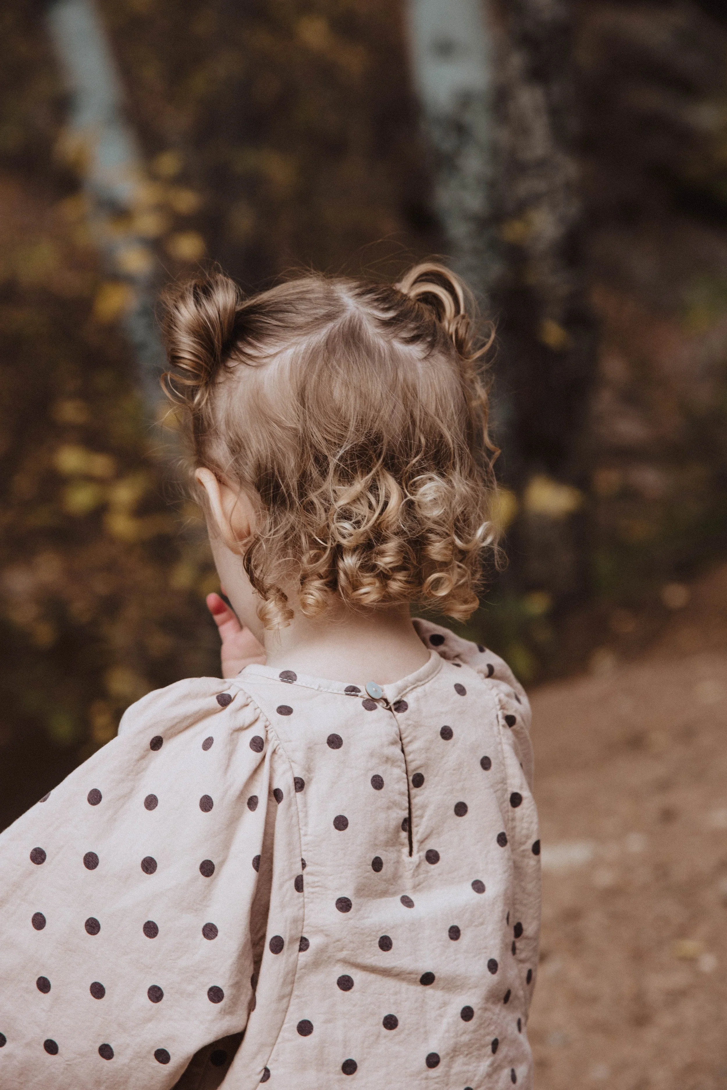Family Portrait Photographer in Colorado
