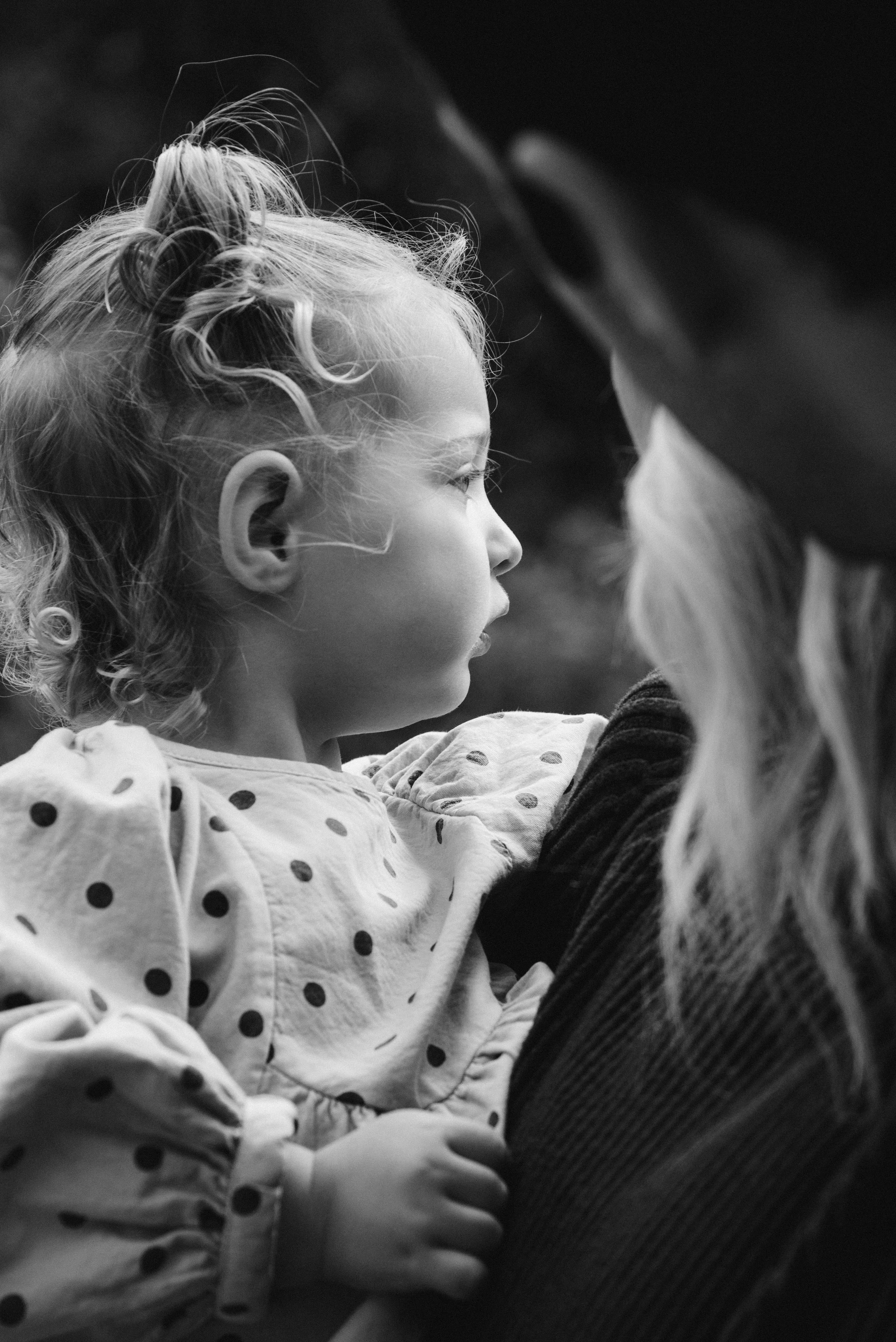 Colorado Family Photographer