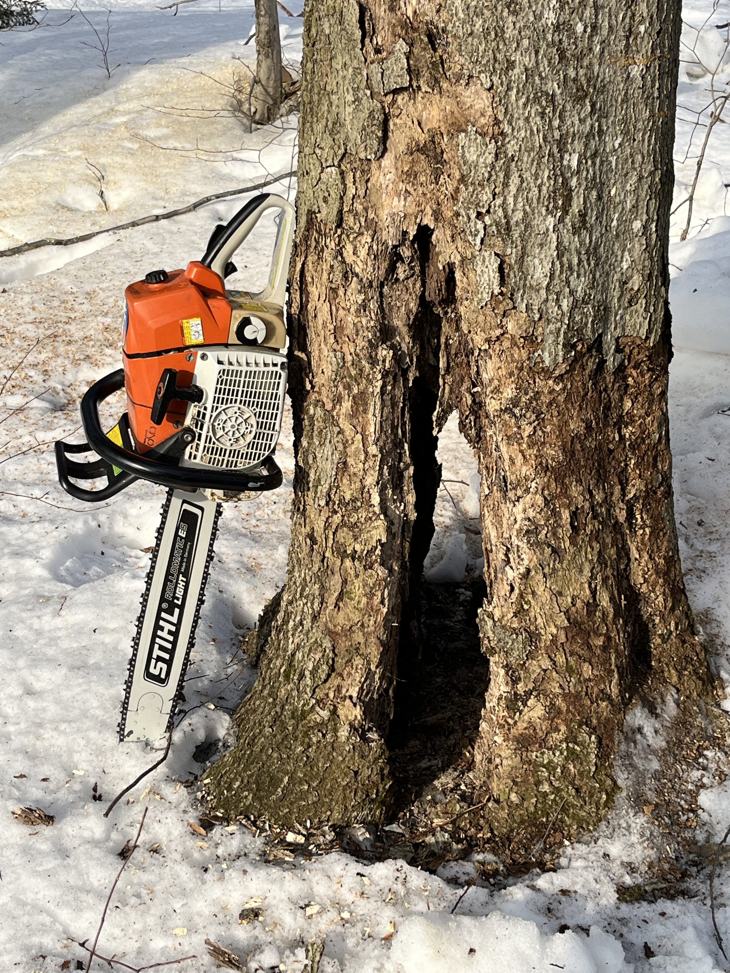 firewood chainsaw.jpeg