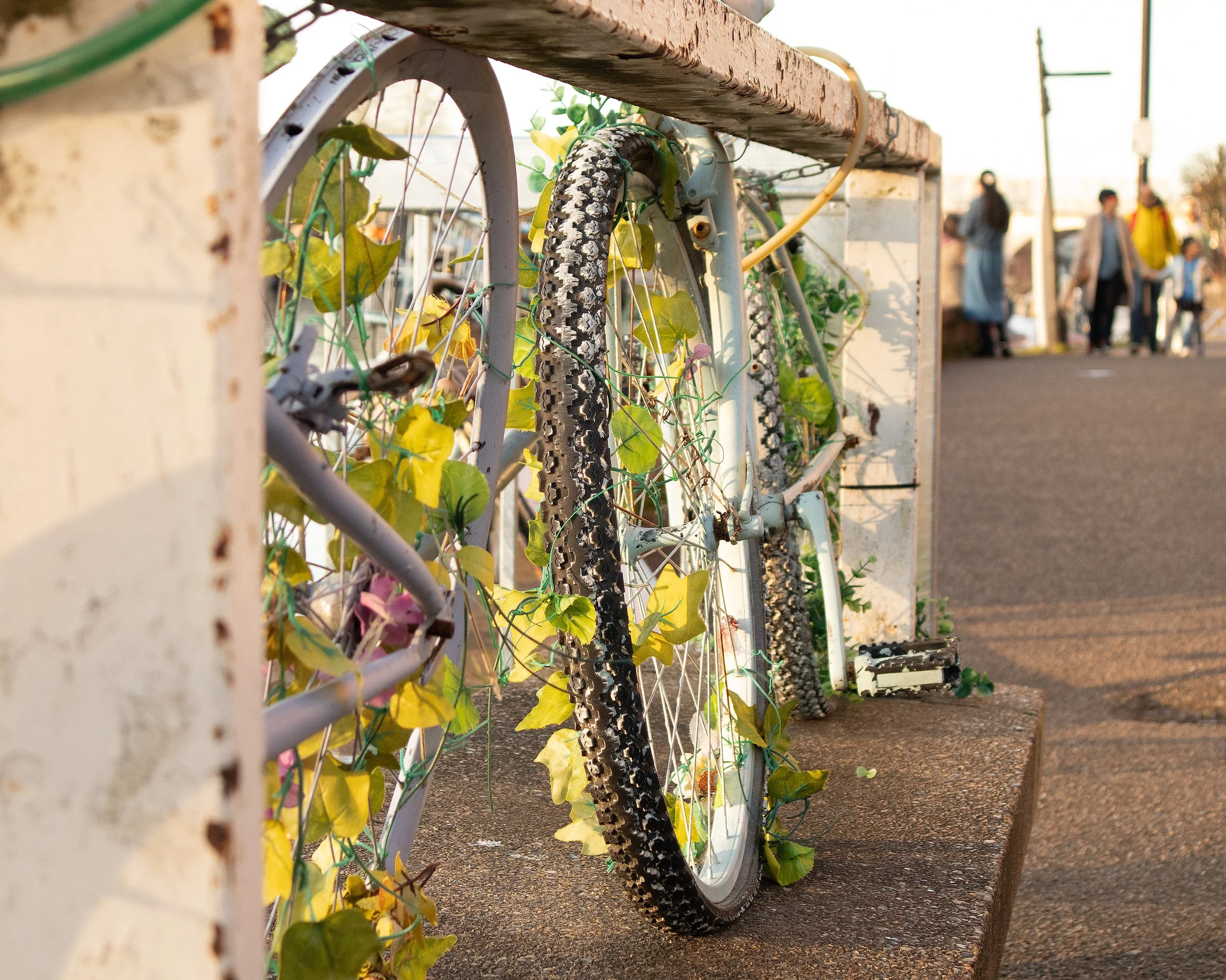 bike photography