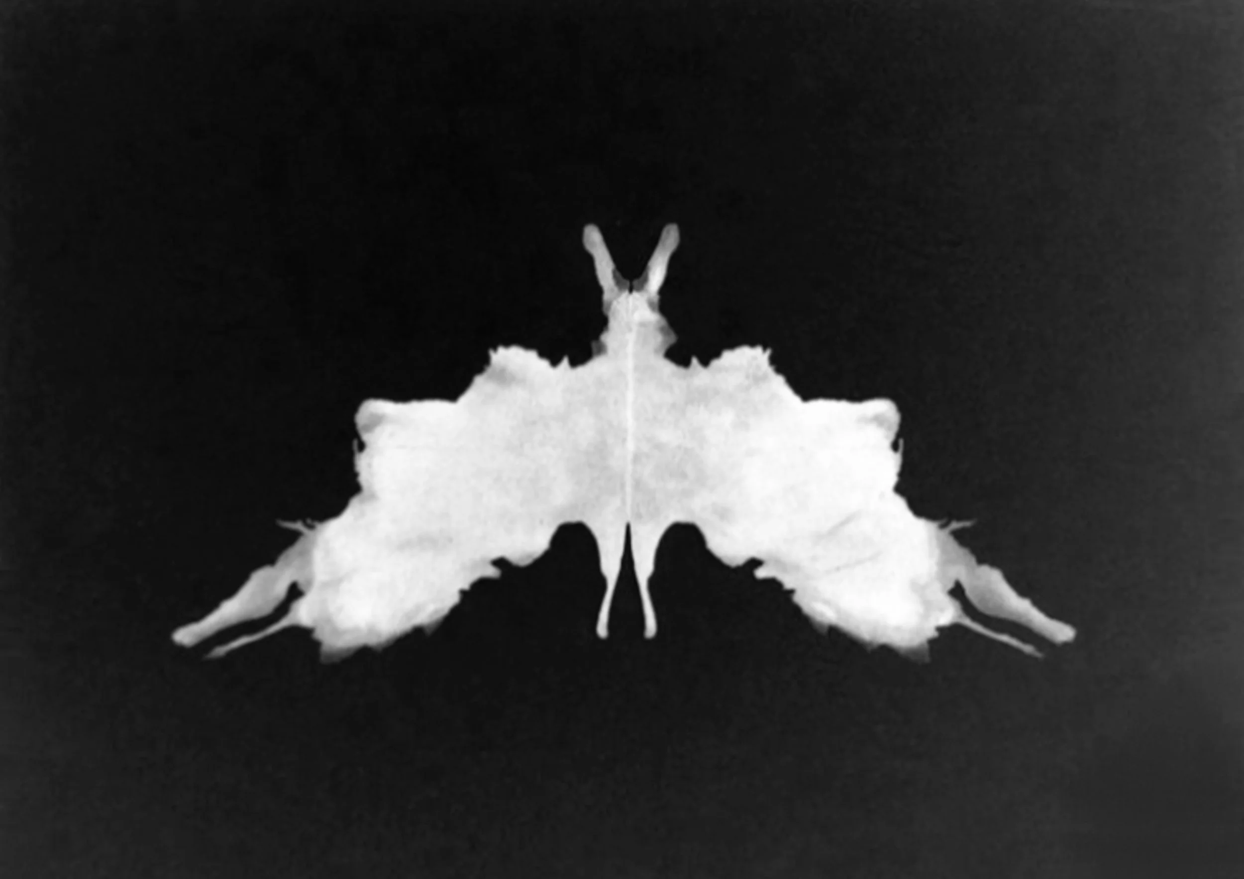 Satin 3 copy.jpg