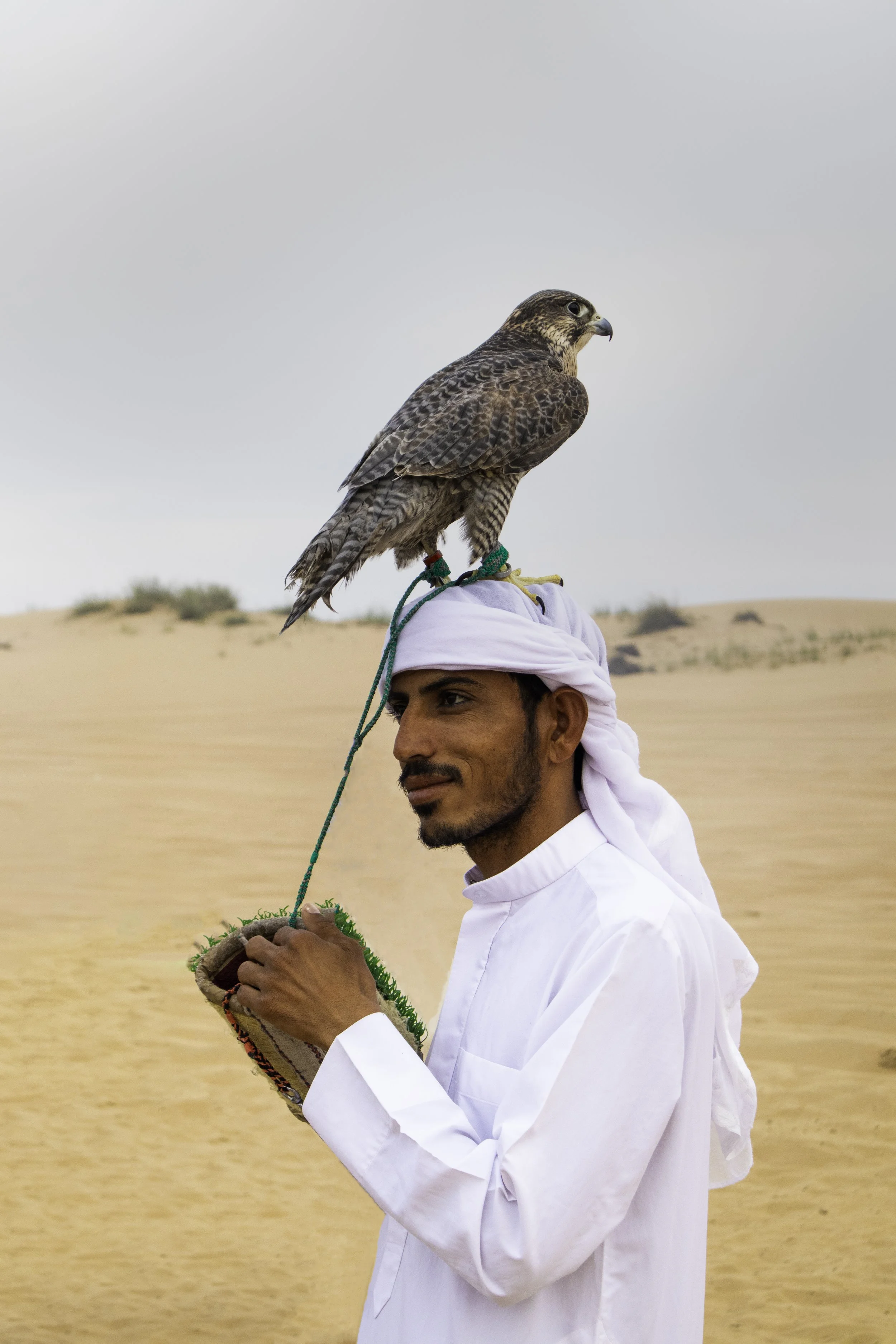 desert 10 copy.jpg