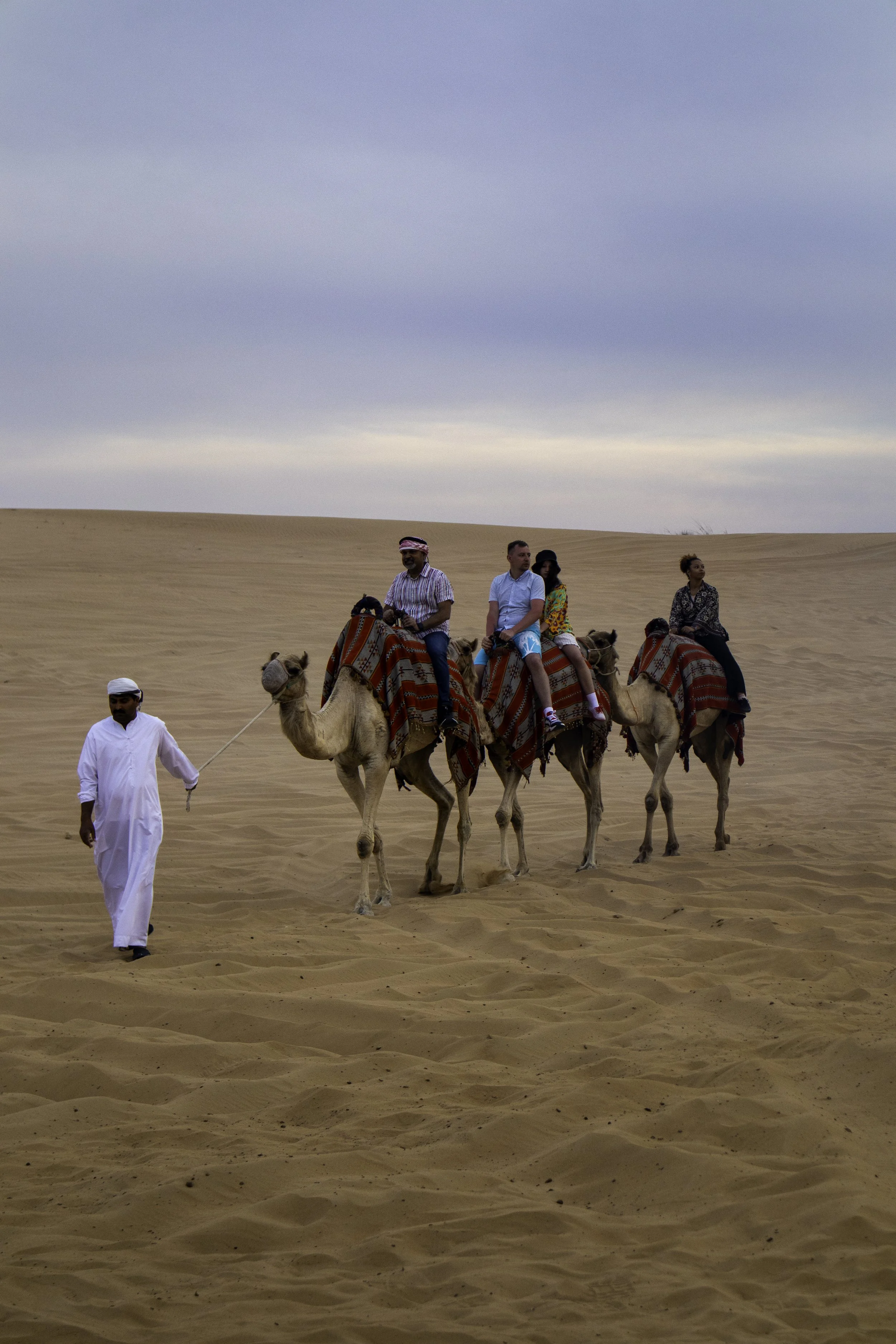 desert 5 copy.jpg