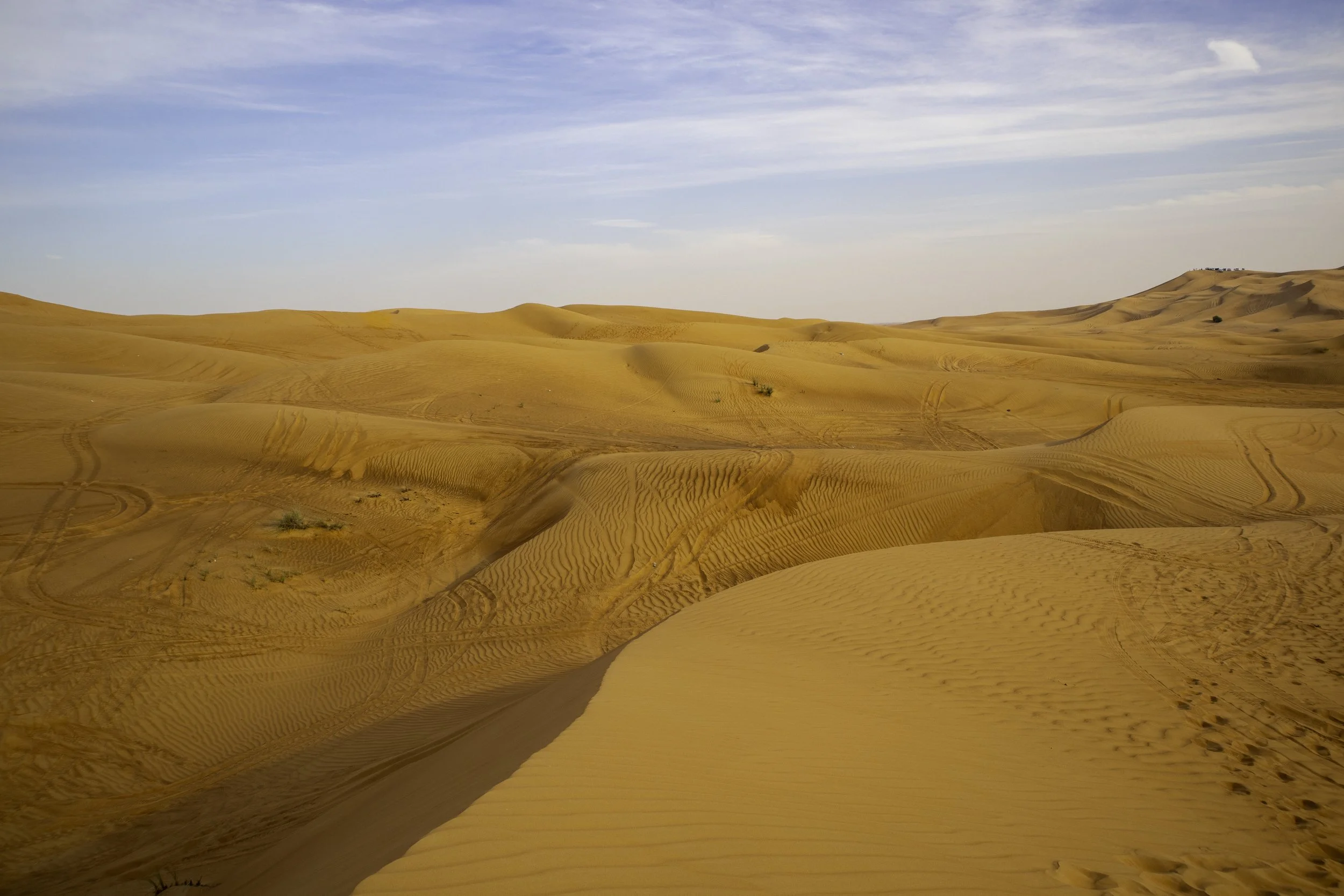 desert 1 copy.jpg