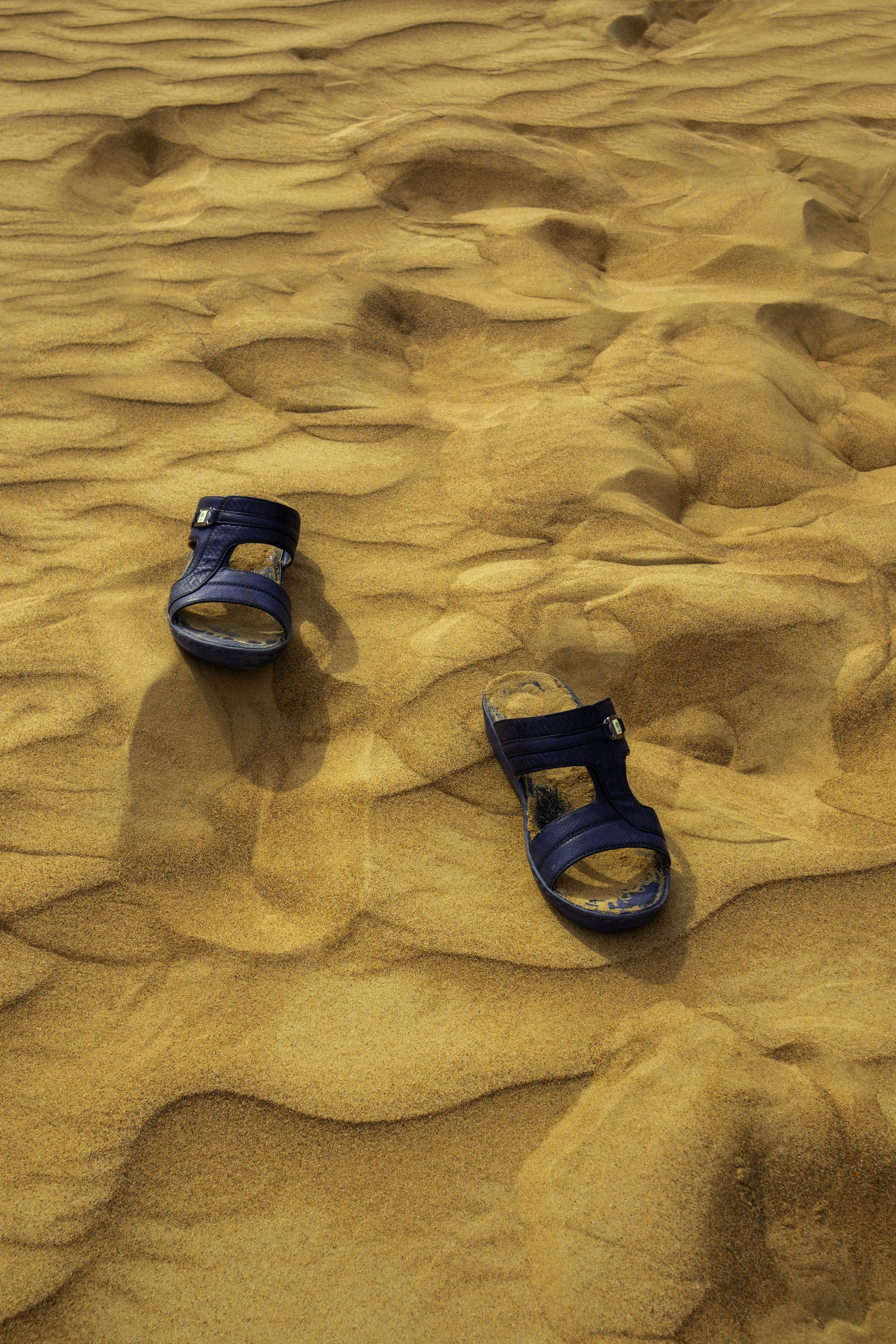 desert 4 copy.jpg