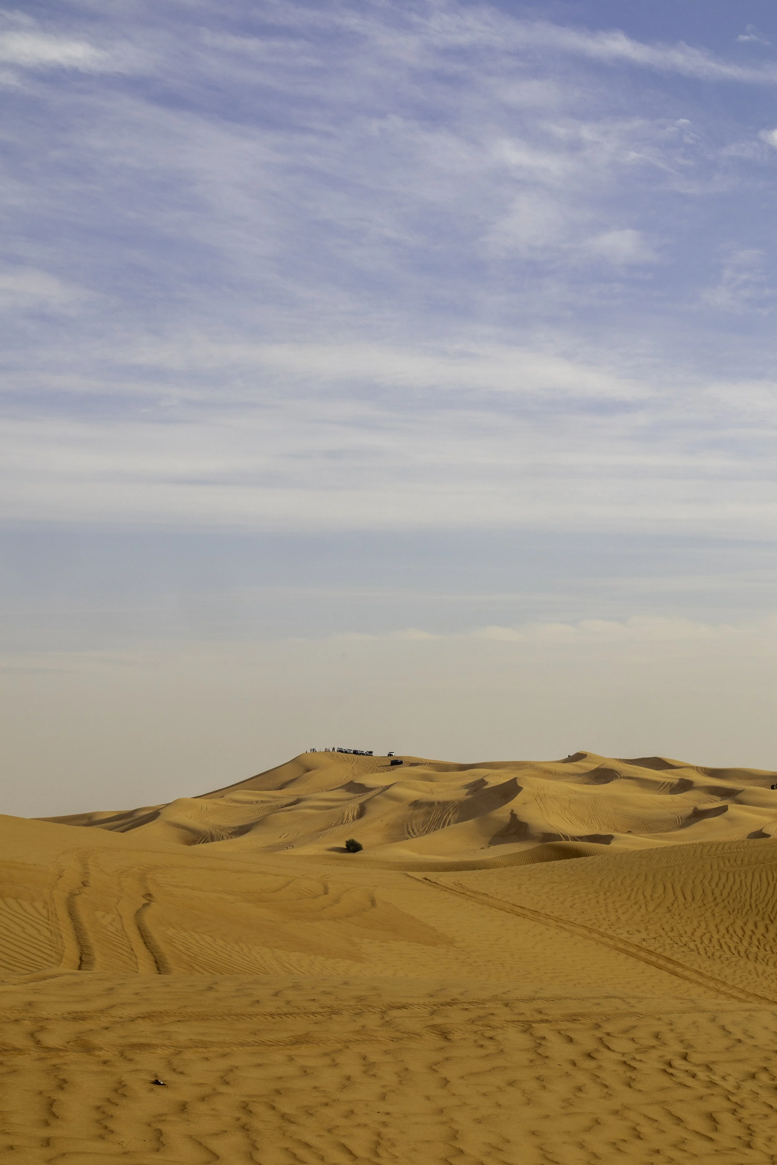 desert 8 copy.jpg