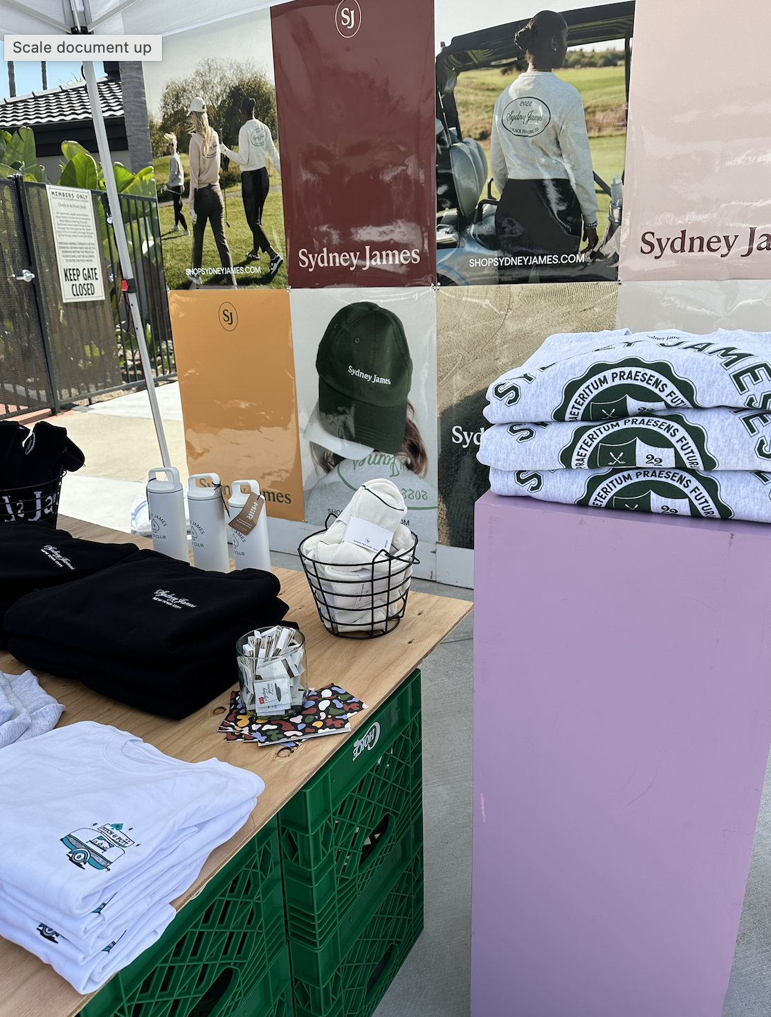 Screenshot 2024-06-20 at 3.49.26 PM.png