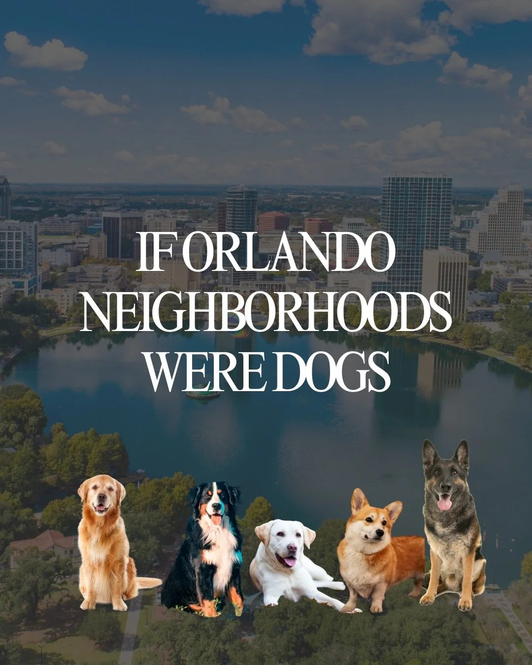 If Orlando neighborhoods were dogs&hellip;

Swipe &rarr; tag your neighborhood &amp; the friend who&rsquo;s 100% that dog.

Orlando neighborhoods have personalities and the dog versions might be the most accurate thing you&rsquo;ll see today.

From W