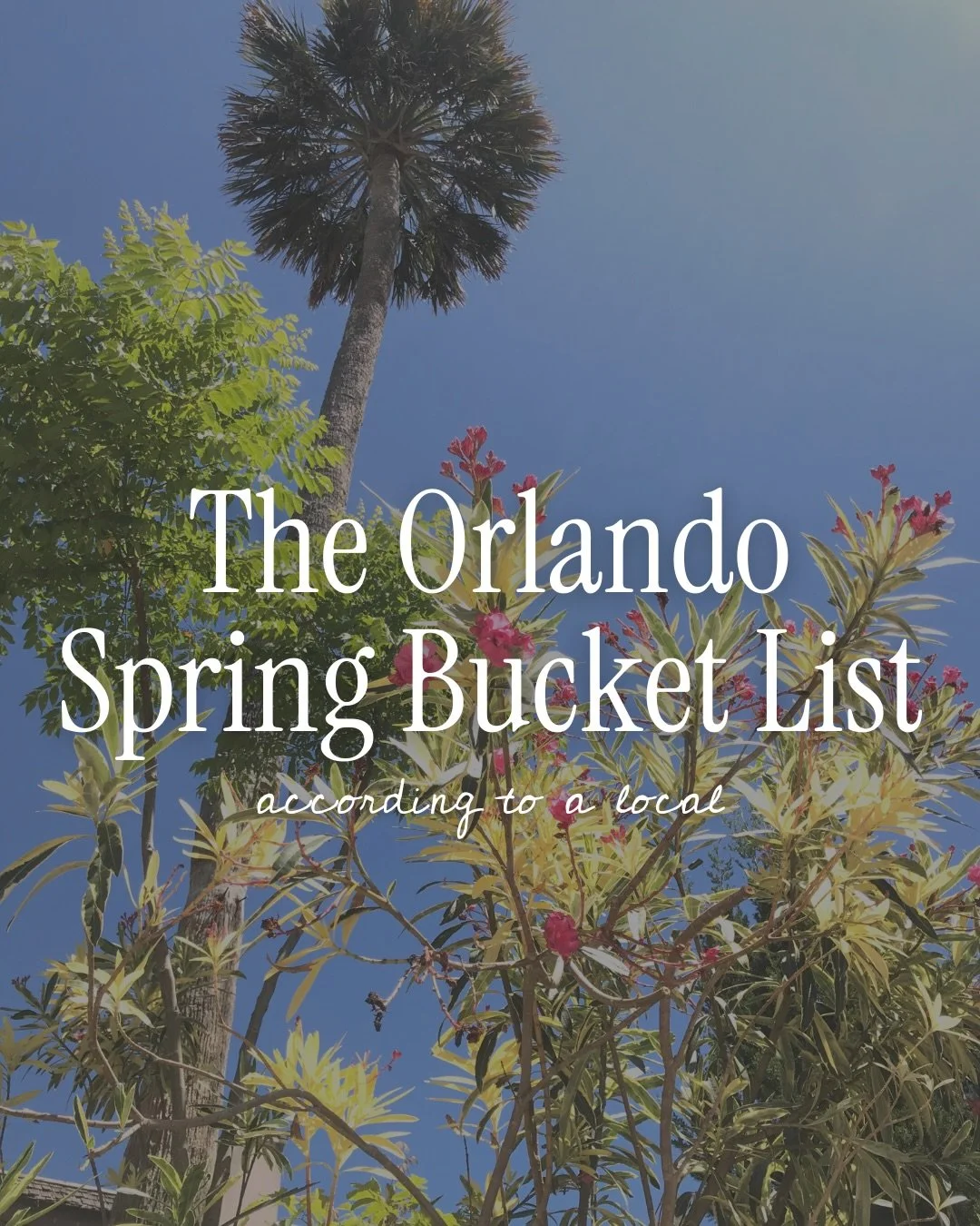 The Complete Orlando Spring Bucket List ✅

Comment LOCAL for a full Orlando Local&rsquo;s Guide.

Here&rsquo;s the ultimate list of things to do in the Orlando area this spring.

What would you add?

&mdash; Hannah True, an Orlando &amp; Winter Park 