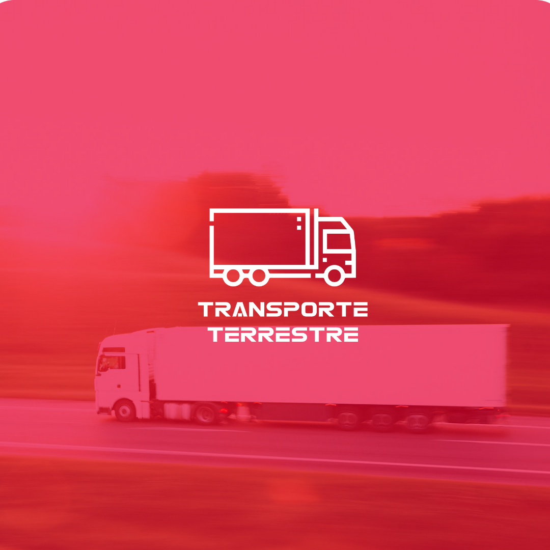 Diseño sin título.png