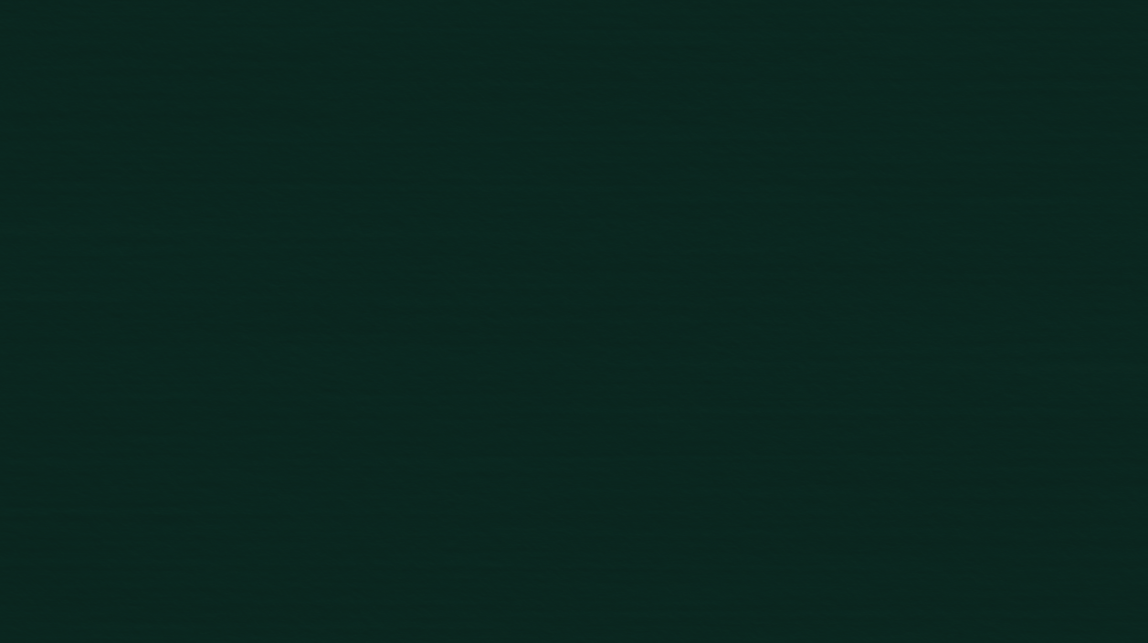 A plain, textured green background.