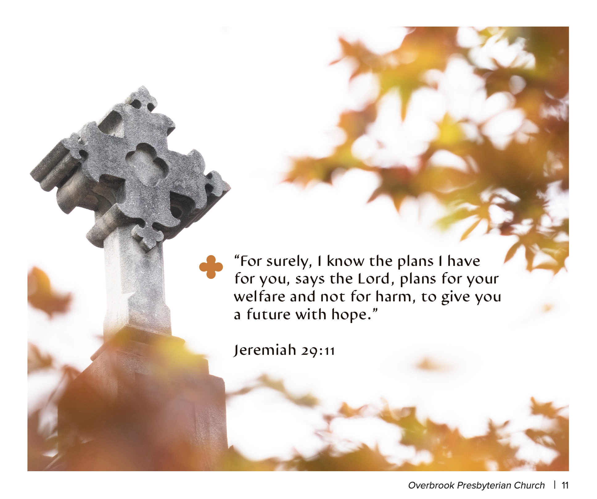 Screenshot 2025-09-05 at 8.36.56 AM.png