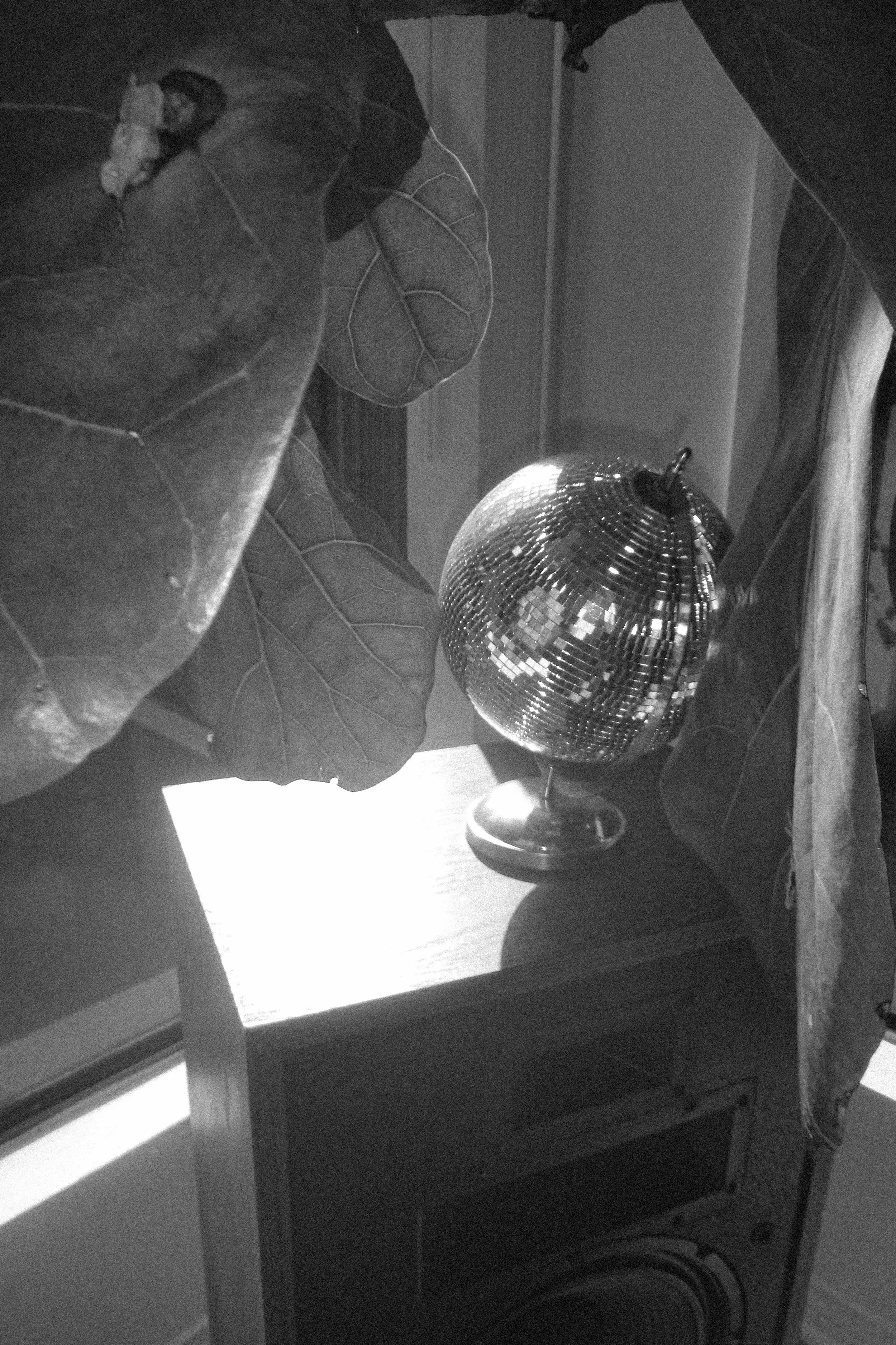 P1010355.jpg