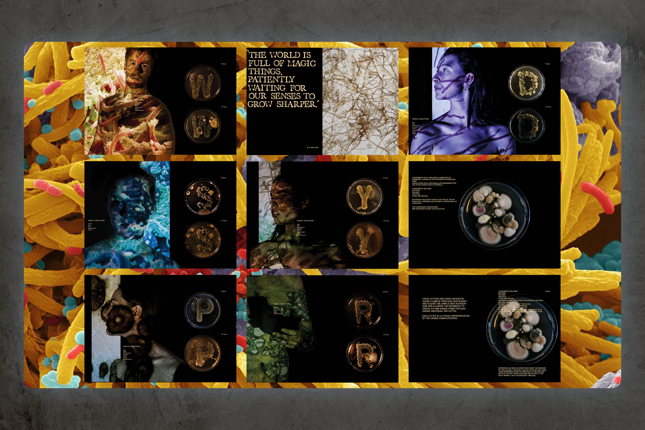 BODY_FONT_PROJECT SLIDESHOW_7.png