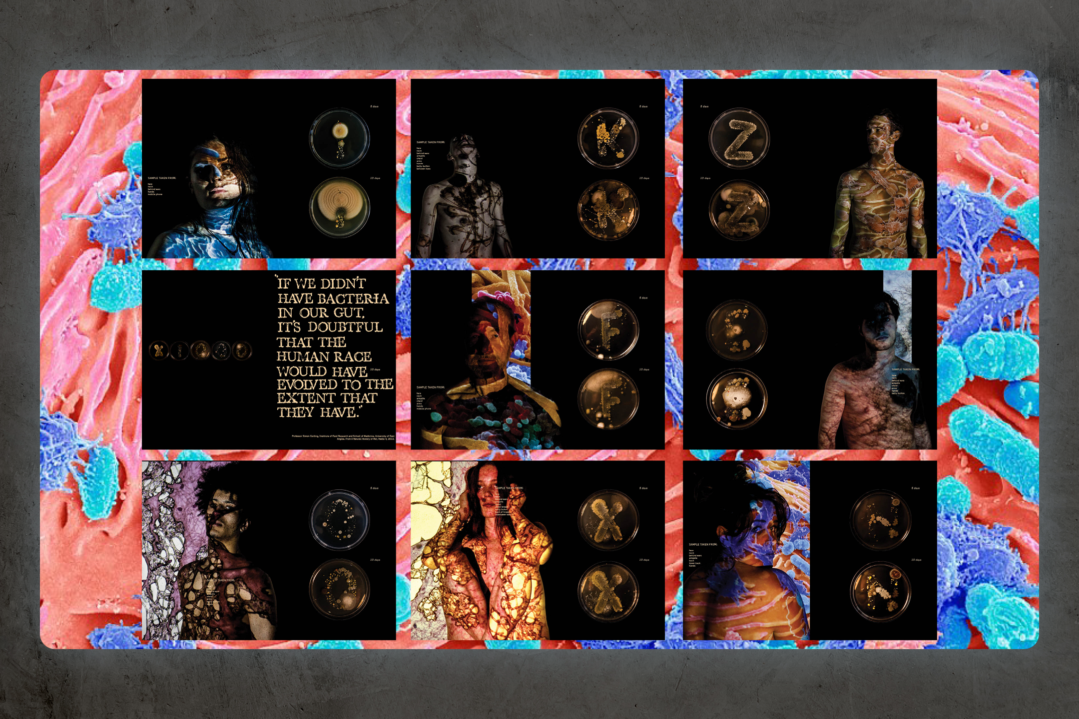 BODY_FONT_PROJECT SLIDESHOW_8.png