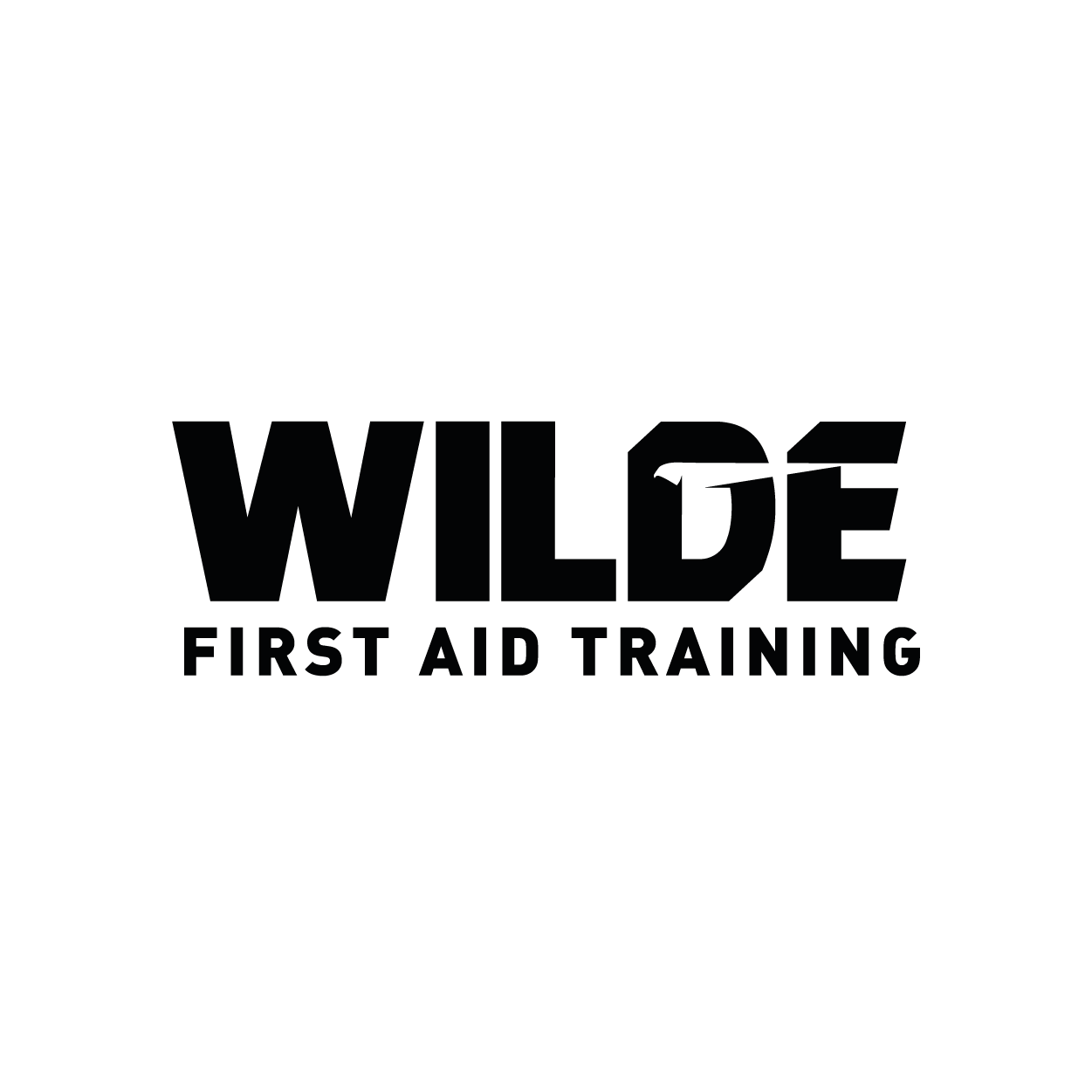 Wilde First Aid Training logo with stylized text.
