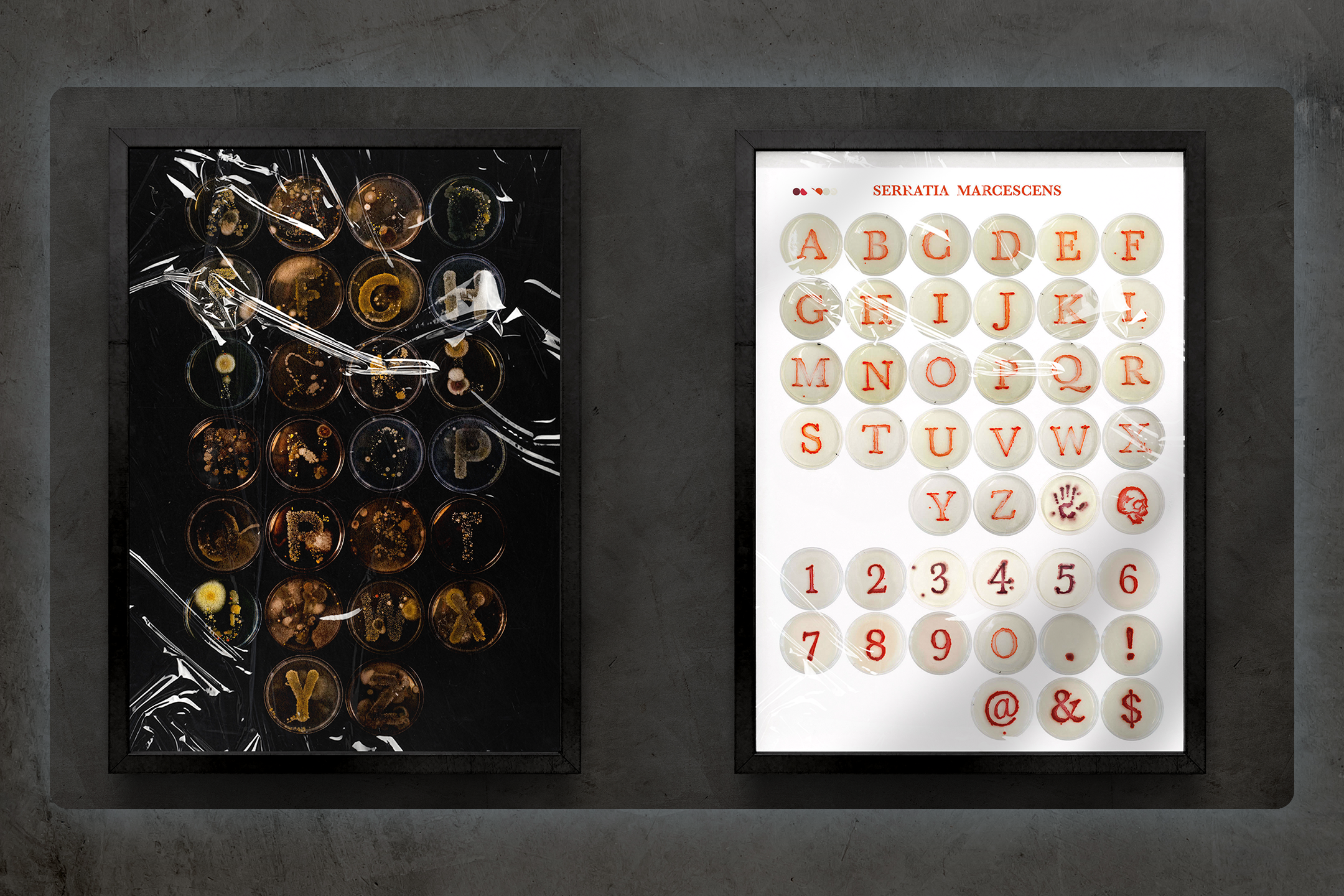 BODY_FONT_PROJECT SLIDESHOW_11.png