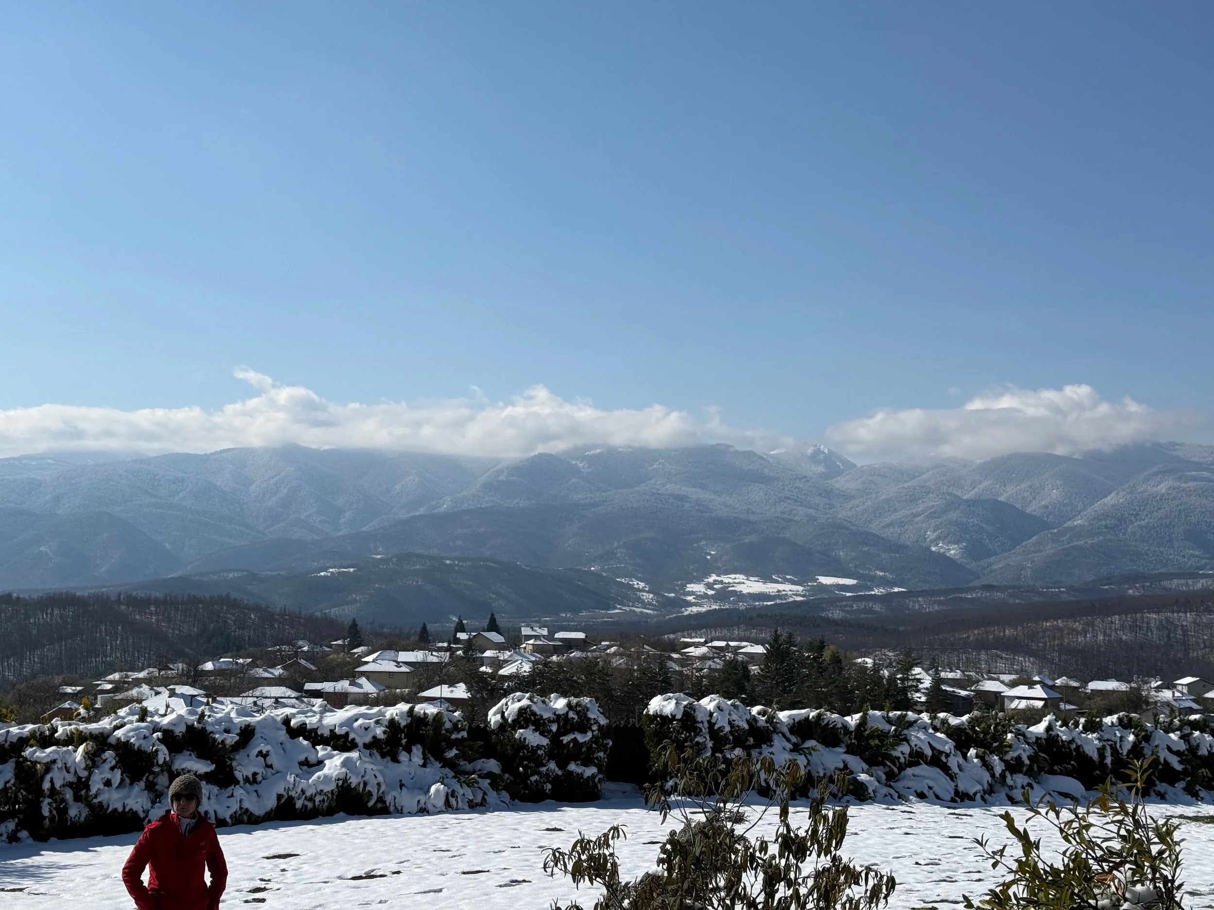 IMG_8177.jpeg