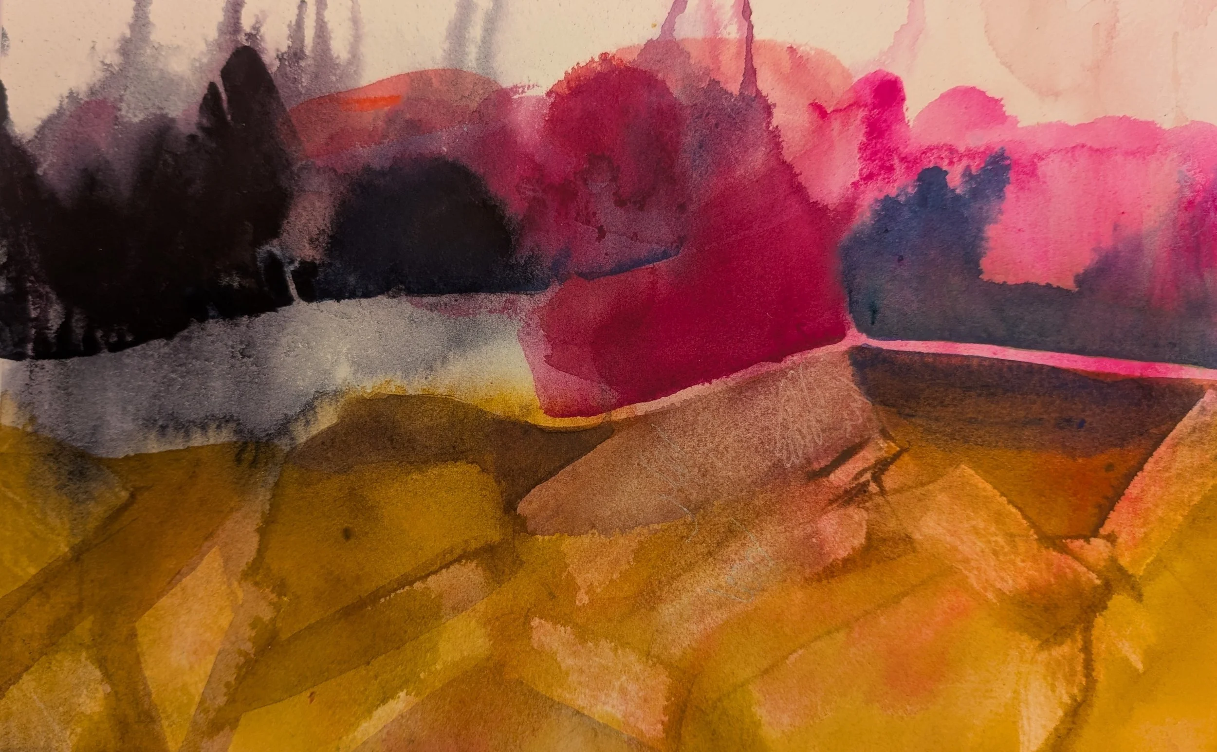 Fuchsia Reflection1.jpg