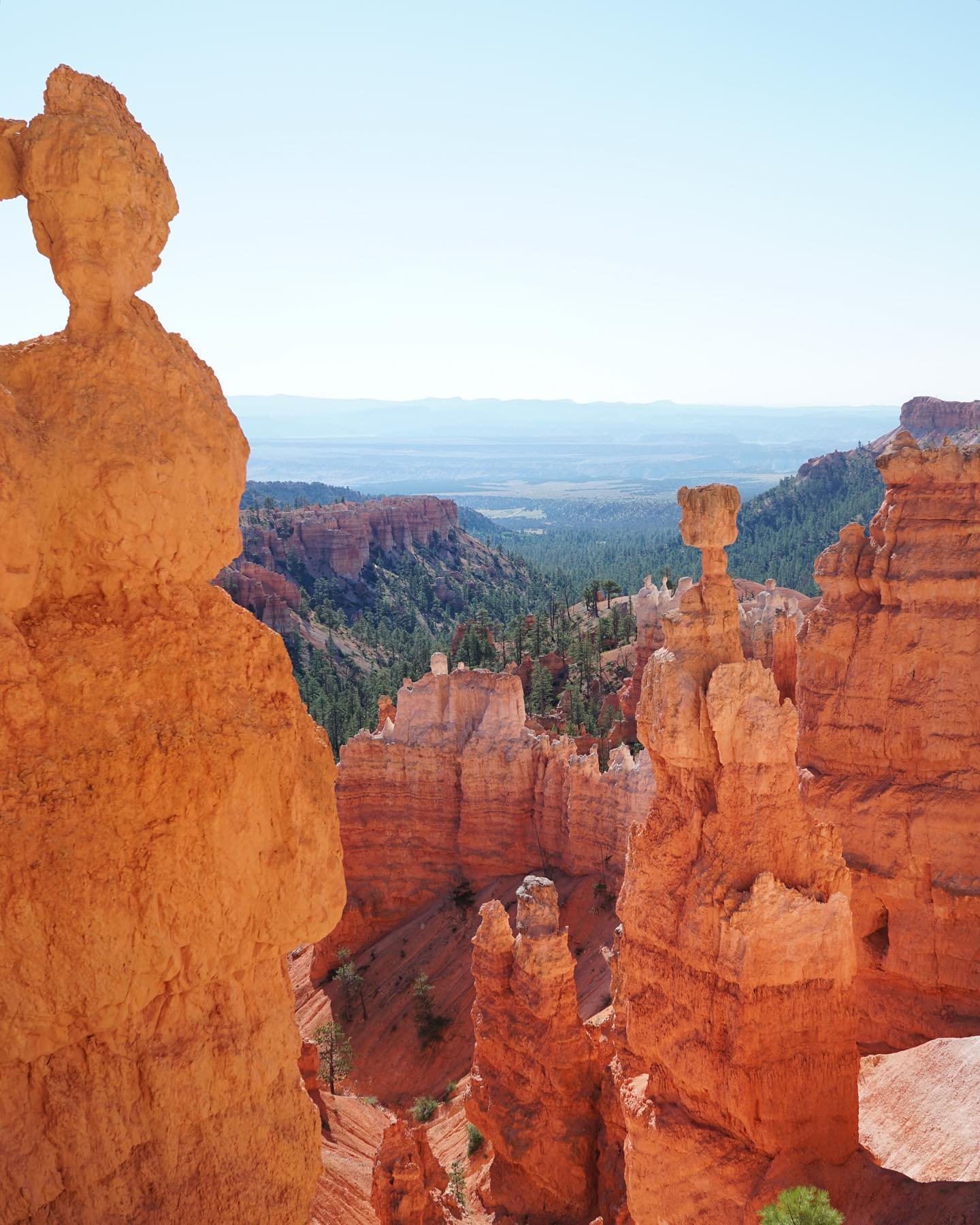 Complimentary colors of Bryce Canyon