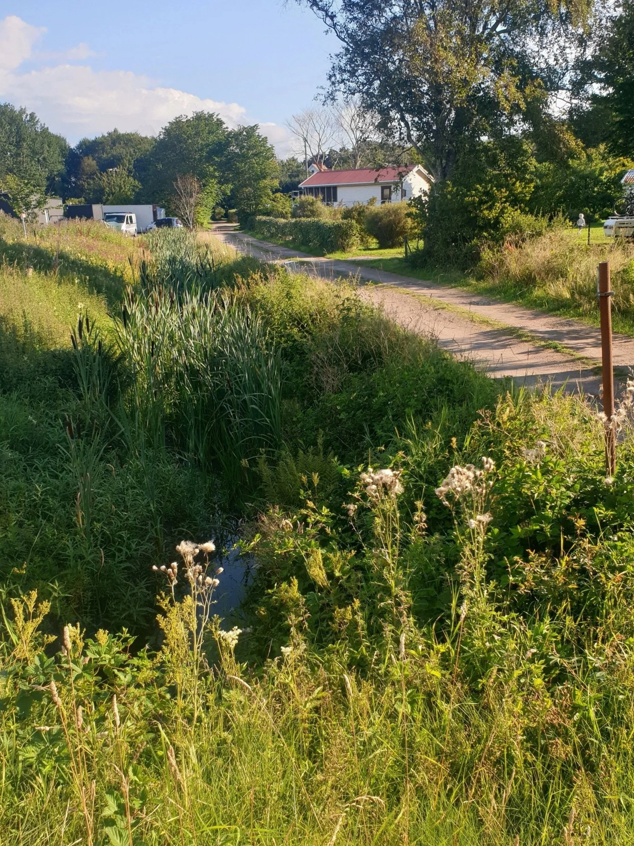20240728_080848.jpg