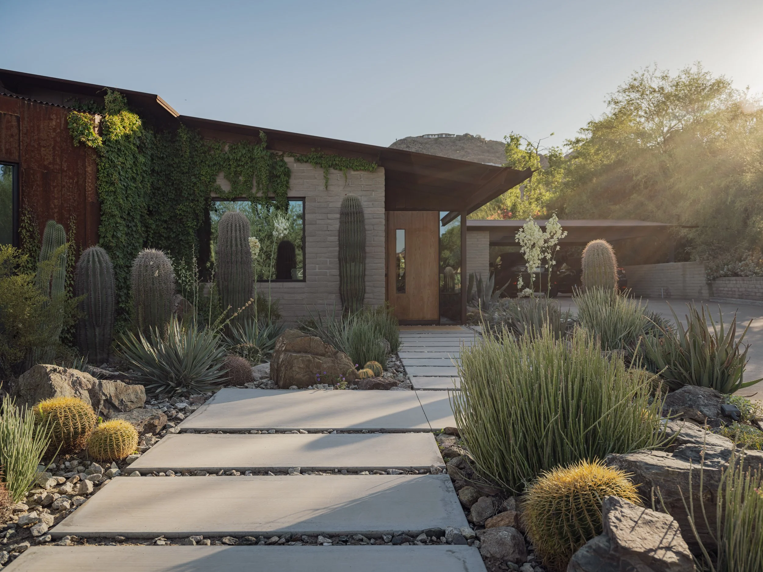 JR24 TGR - Criswell 5519 WEB.jpg