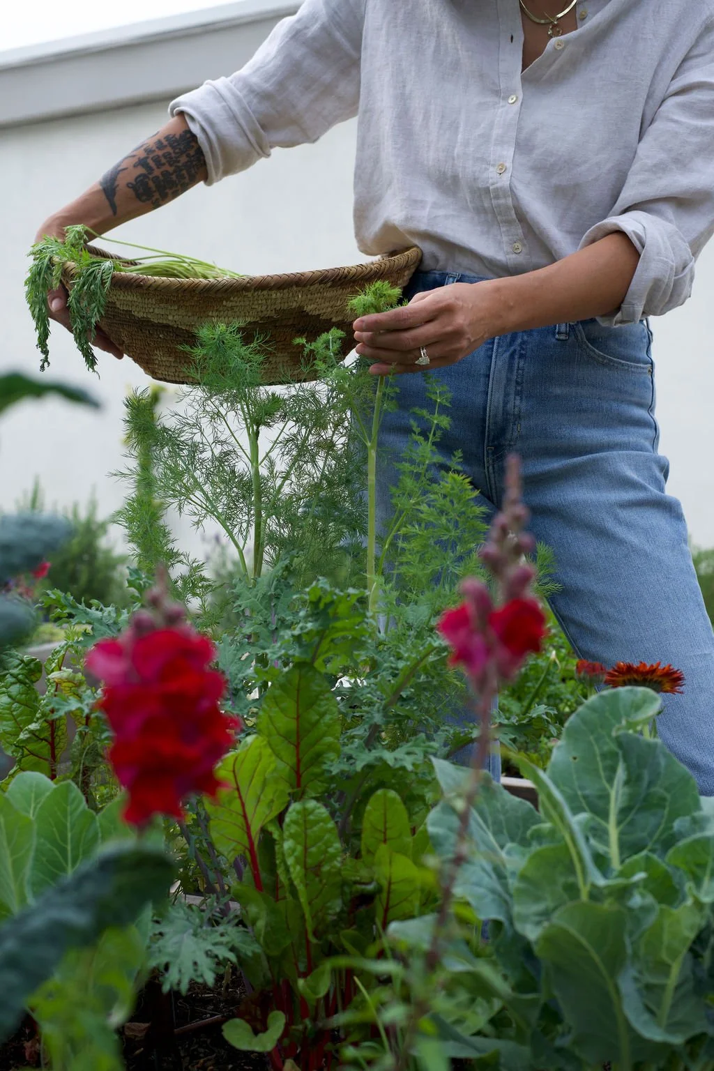 Person harvesting herbs and vegetables from a garden, holding a woven basket and picking plants, wearing a white button-up shirt with rolled-up sleeves and blue jeans.