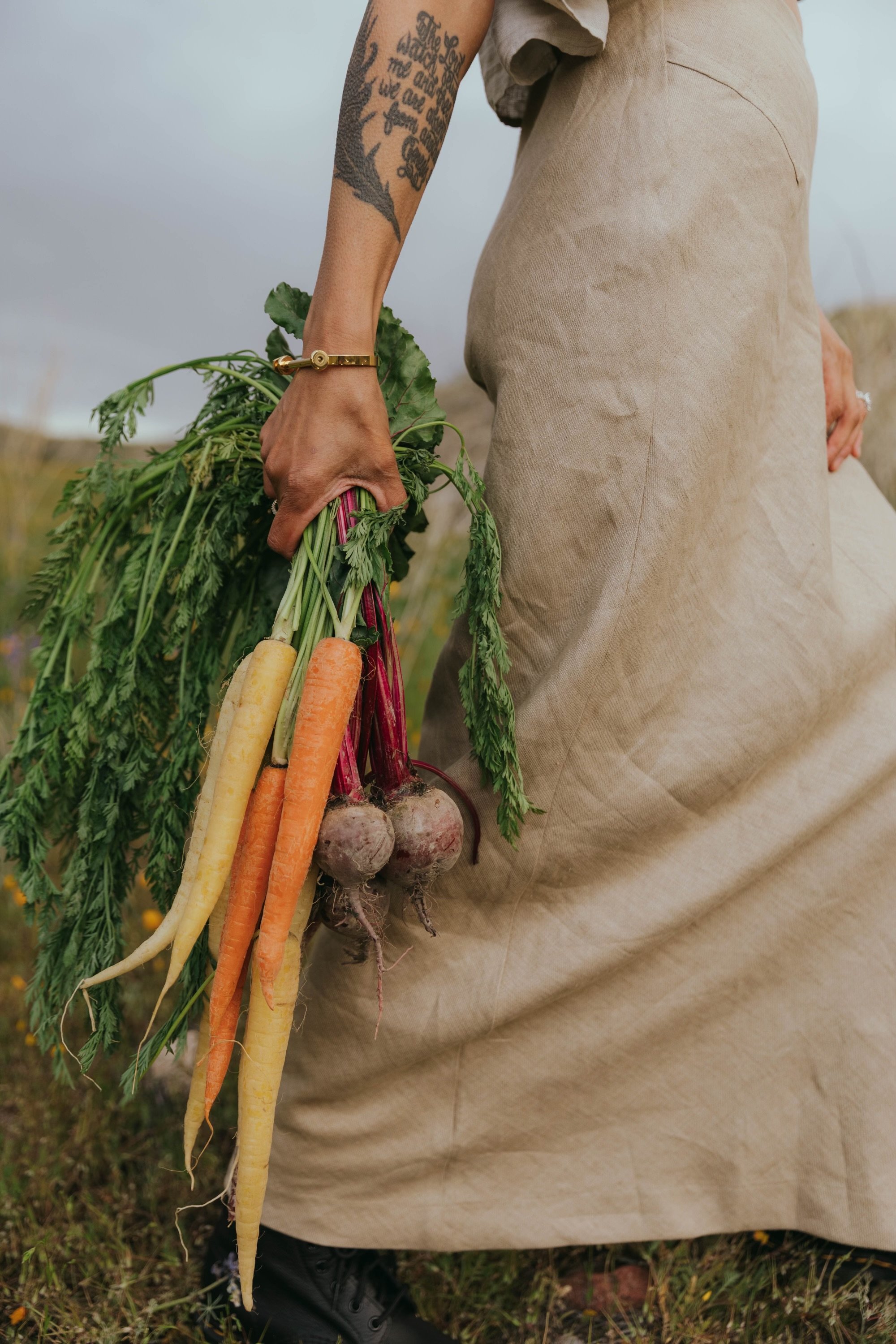 Person holding freshly harvested multicolored carrots and beets in a garden, wearing beige pants and a tattooed arm.