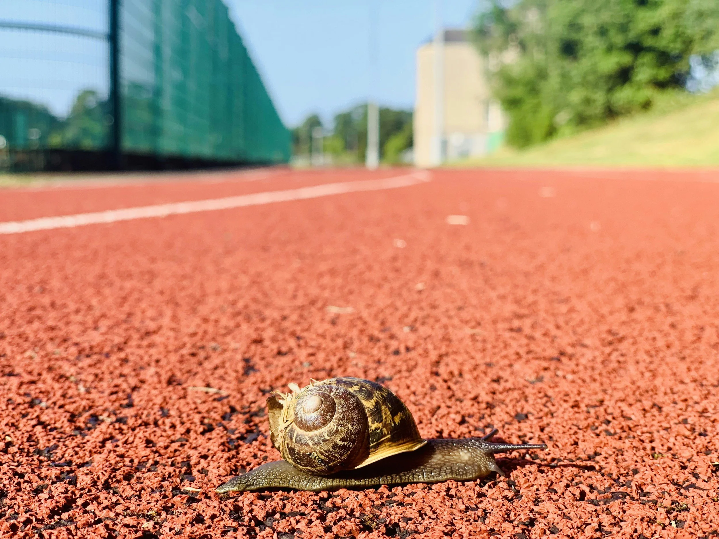 Slow Is the Strategy
