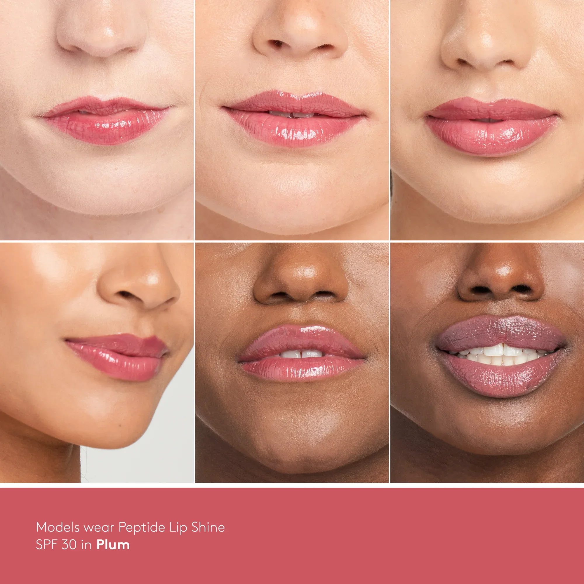 OnModelSwatches-Lipshine_PLUM.webp