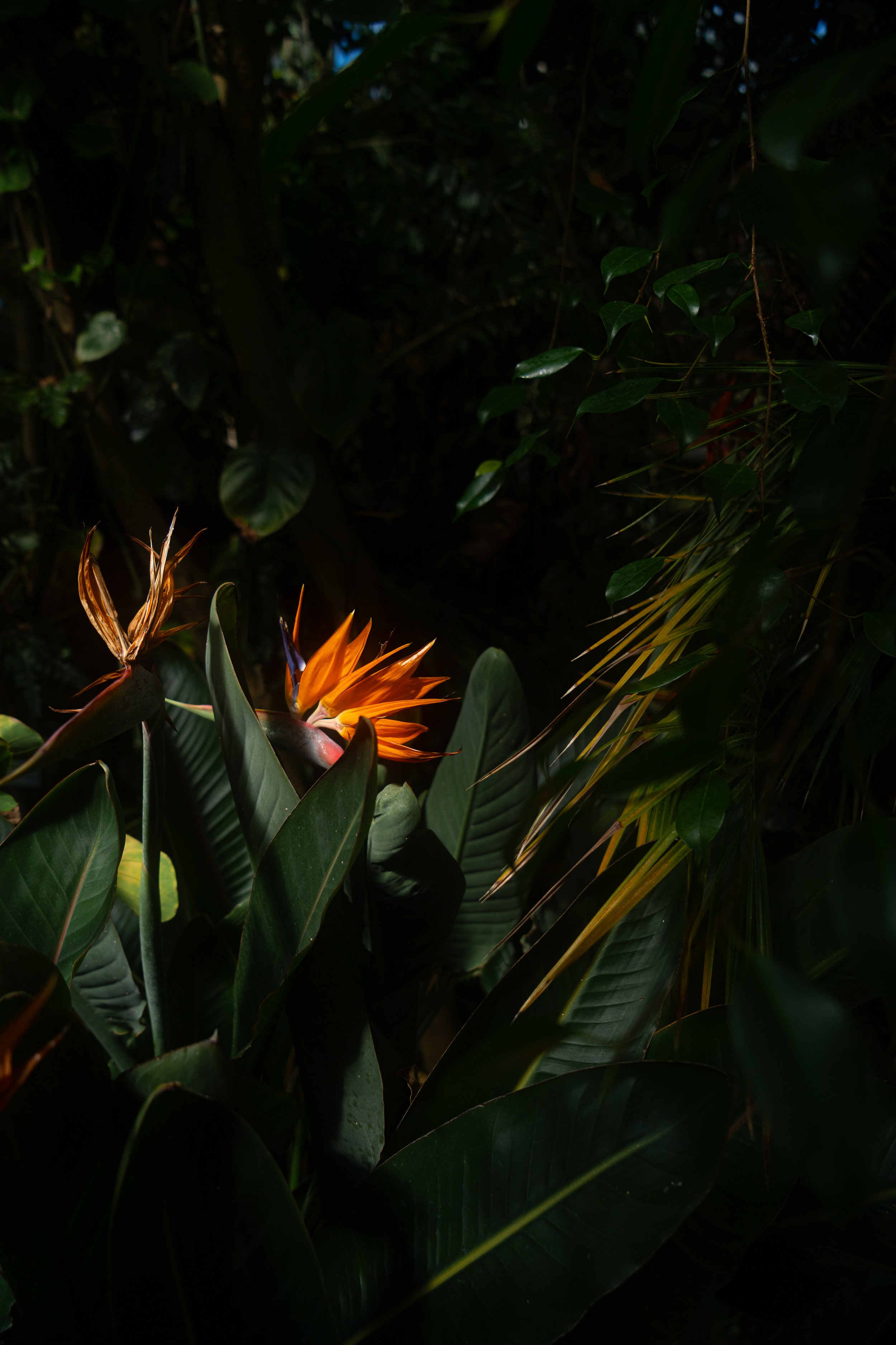 F4
1/800
24MM
ISO 100
